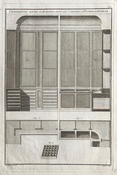 Les Cabinets D'Histoire Naturelle, Roubo French cabinetmaking design engraving