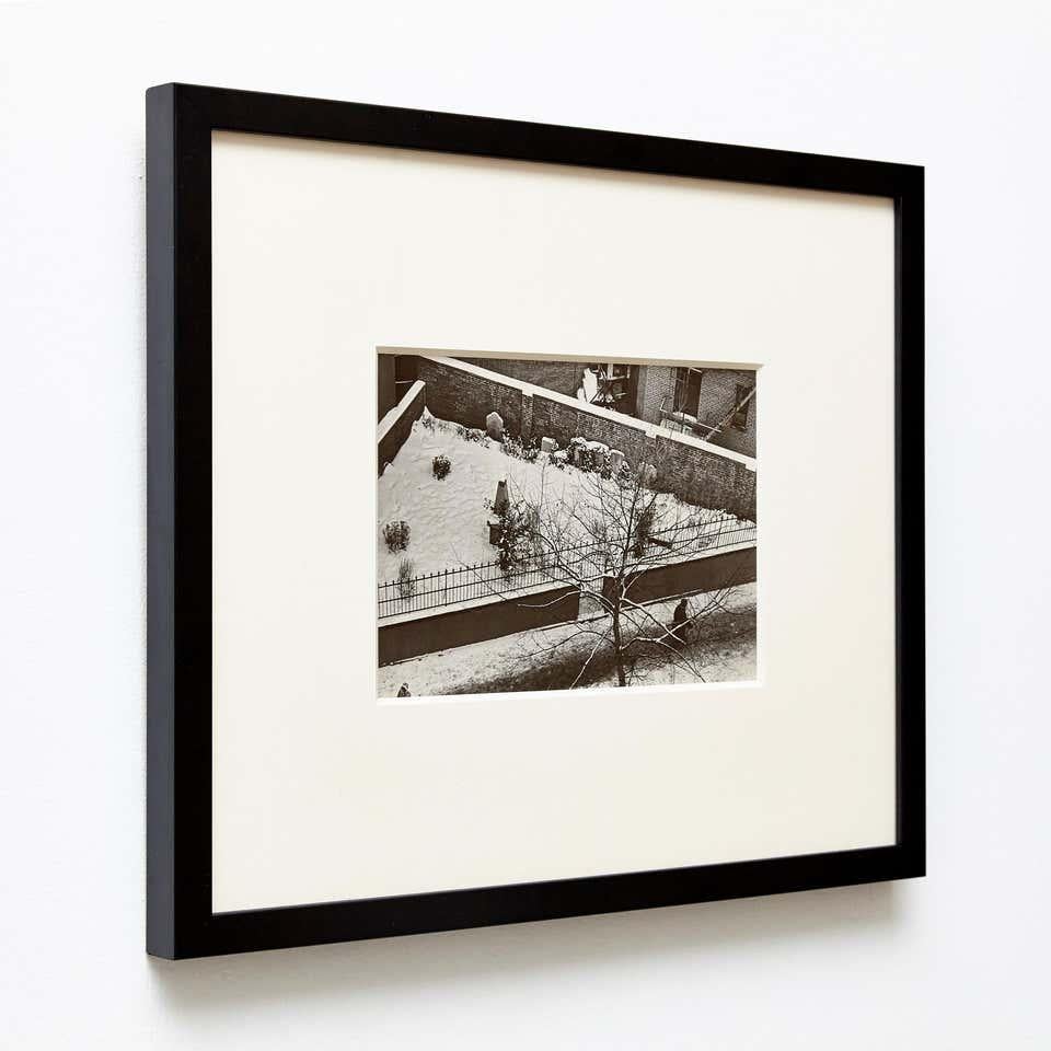 Mid-Century Modern Andre Kerstesz Photography