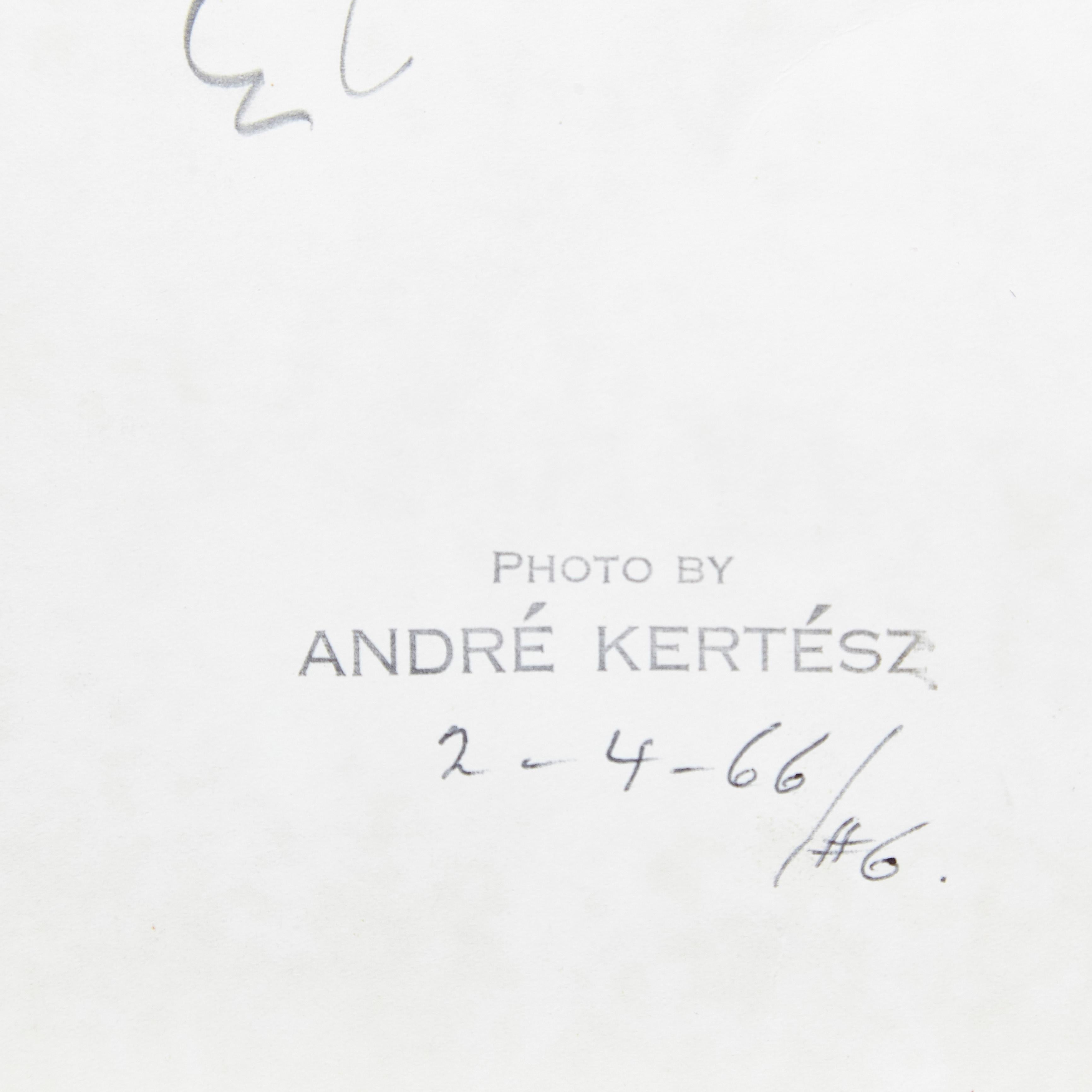 Paper Andre Kerstesz Photography