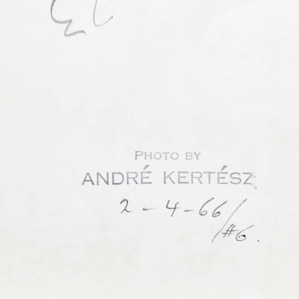 Paper Andre Kerstesz Photography For Sale