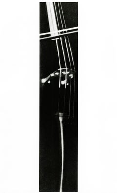 Studio del Cello