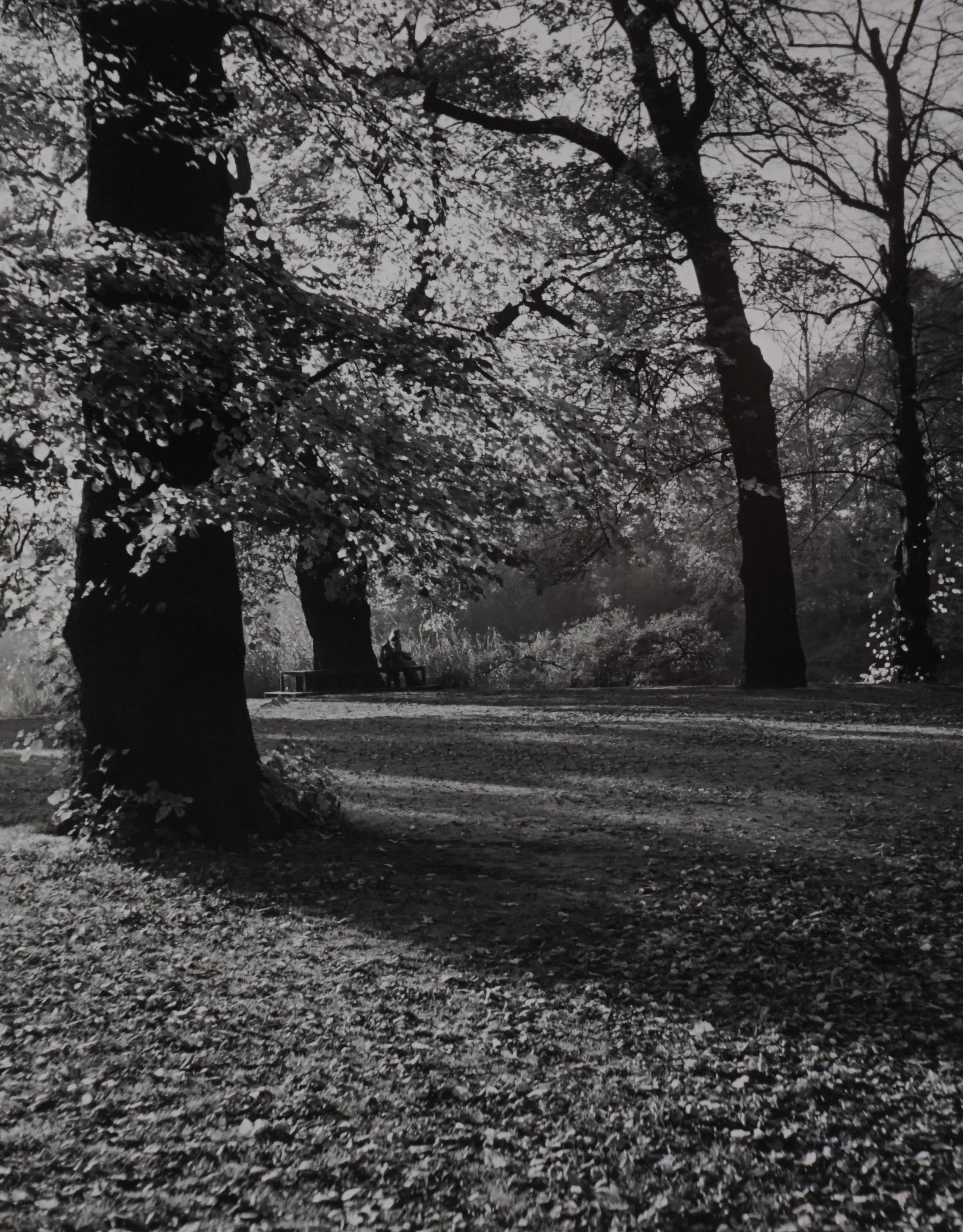Andre Kertesz Black and White Photograph - Kew Gardens, London