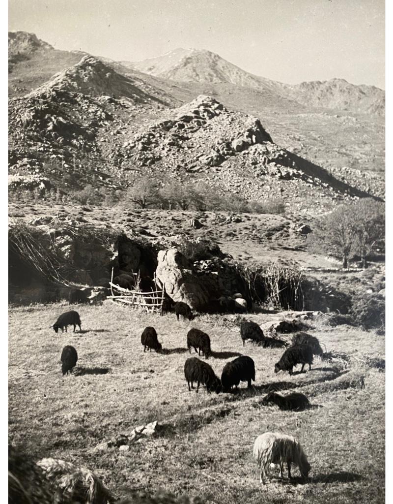 Black and White Photograph di Andre Kertesz - Monte Cinto, Corsica, 1932