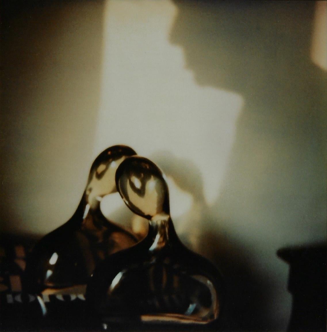 Color Photograph di Andre Kertesz - Piastra 11