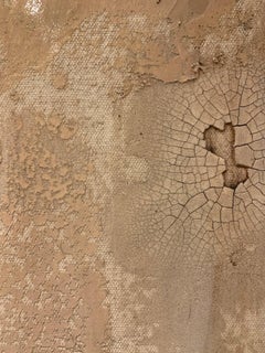 Animal Print White Horse Canvas Neutral Colors 48x48, Limited Edition of 95