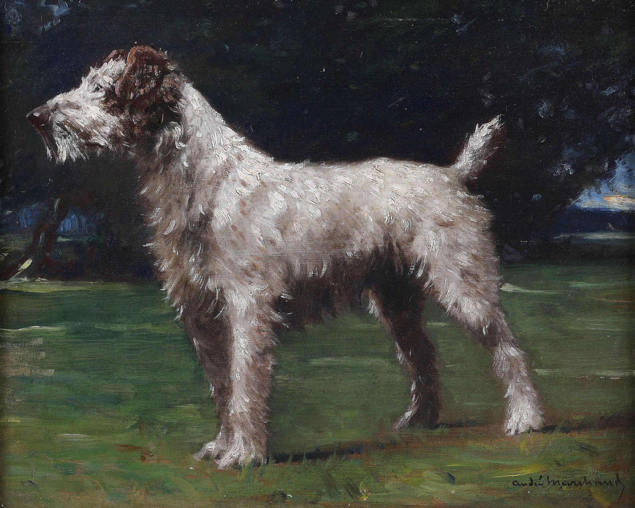 A Wire Haired Fox Terrier - French School Painting by André Marchand
