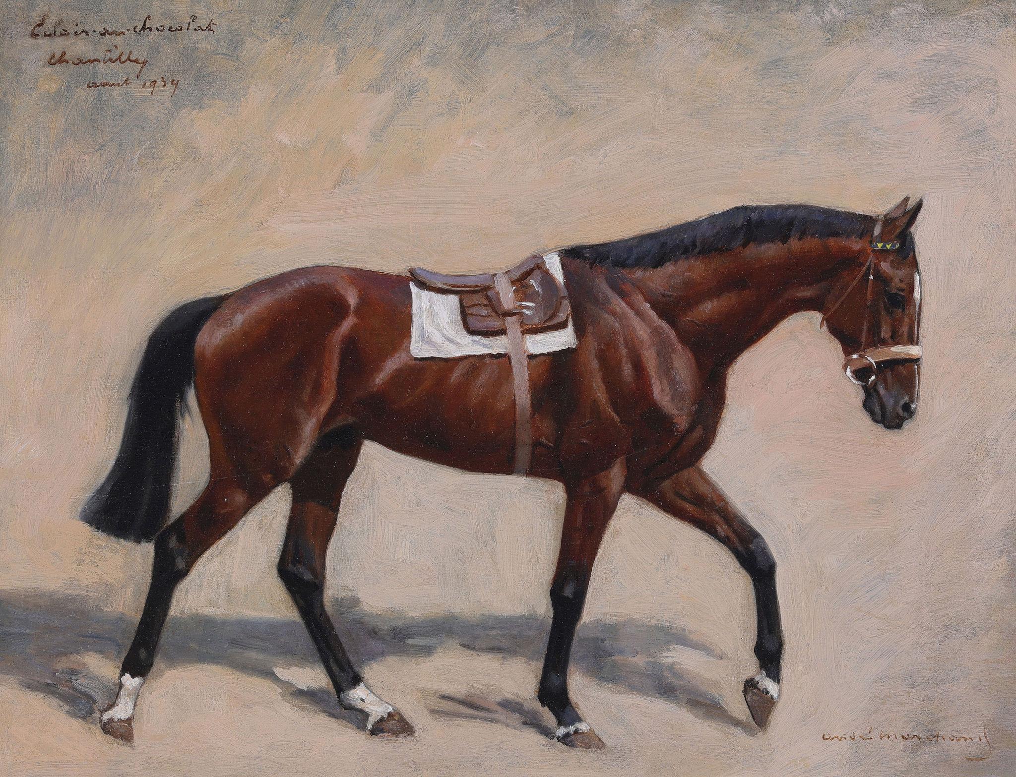 Ein kastanienbraunes Rennpferd. Ölgemälde auf Tafel (Französische Schule), Painting, von André Marchand