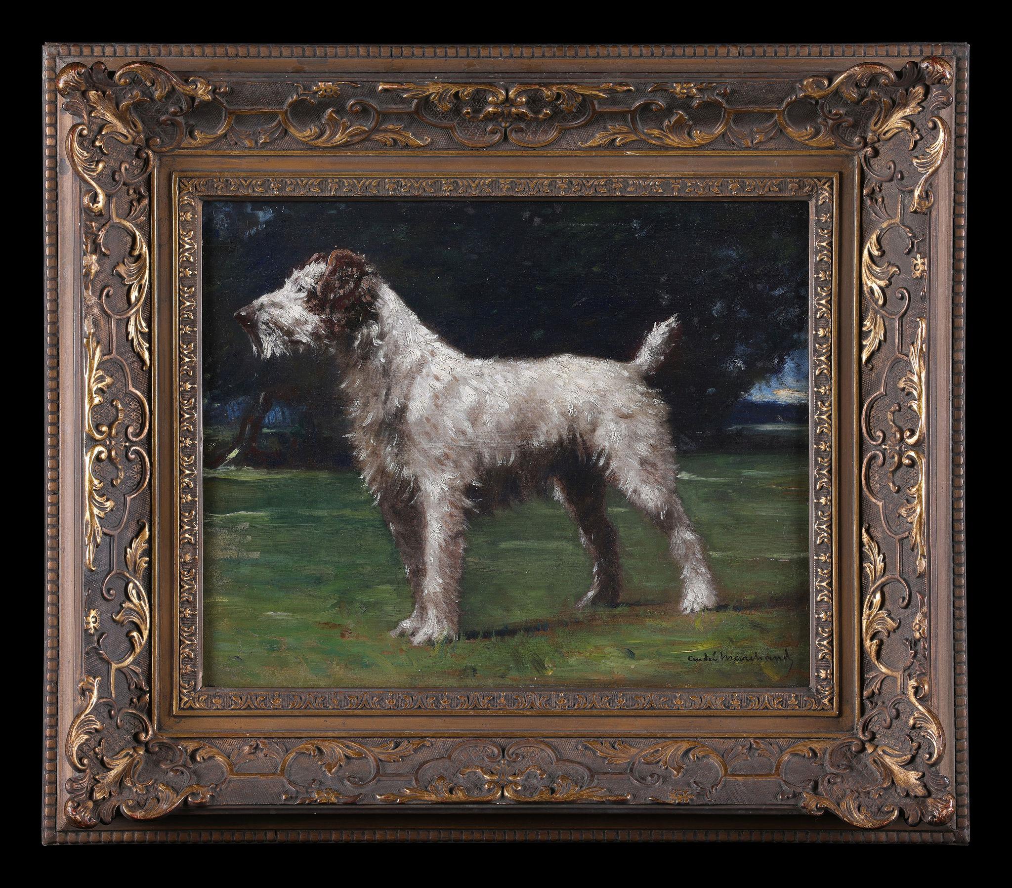 A Wire Haired Fox Terrier - Painting by André Marchand