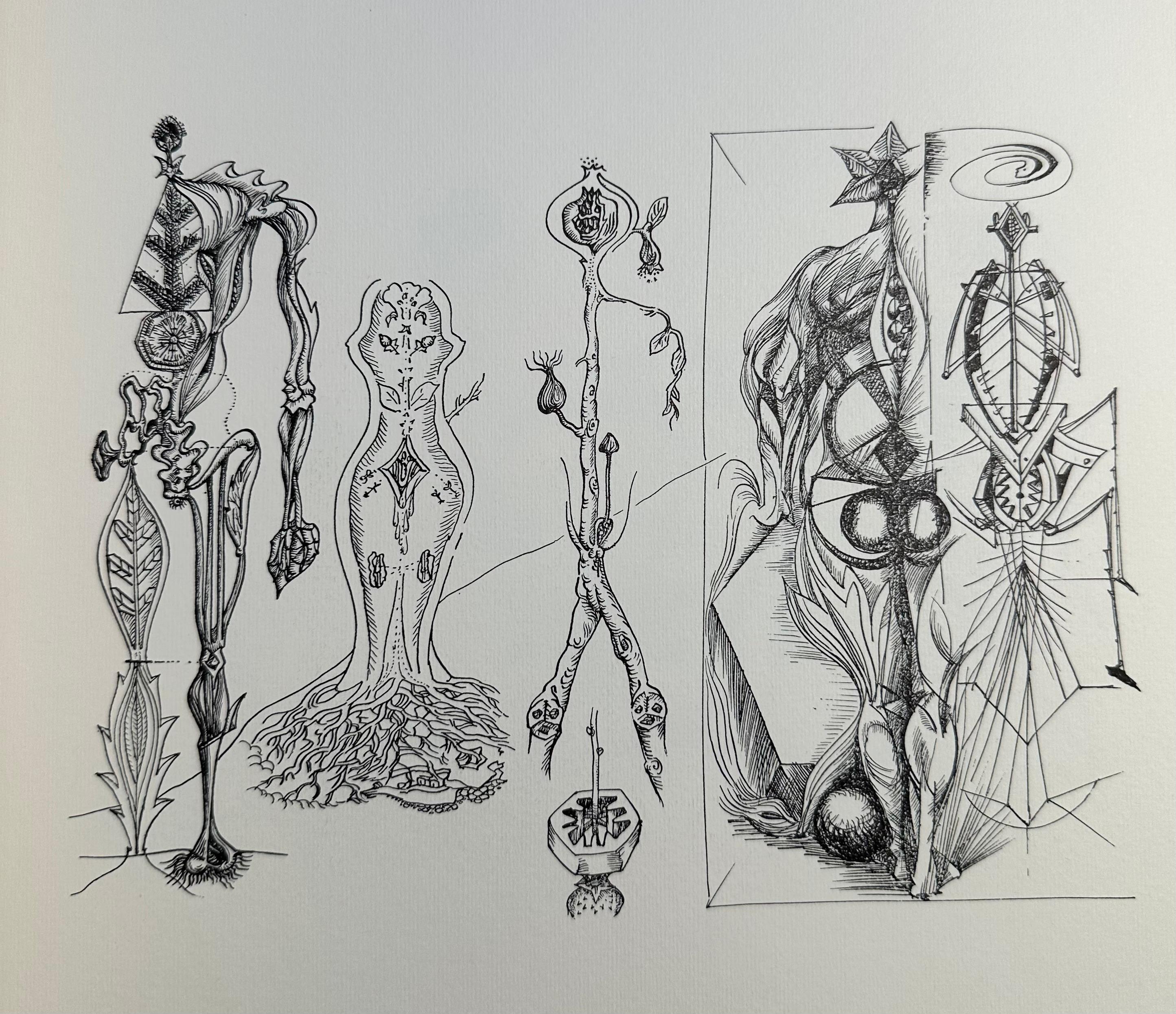 Anatomie meines Universums (Surrealismus), Print, von André Masson