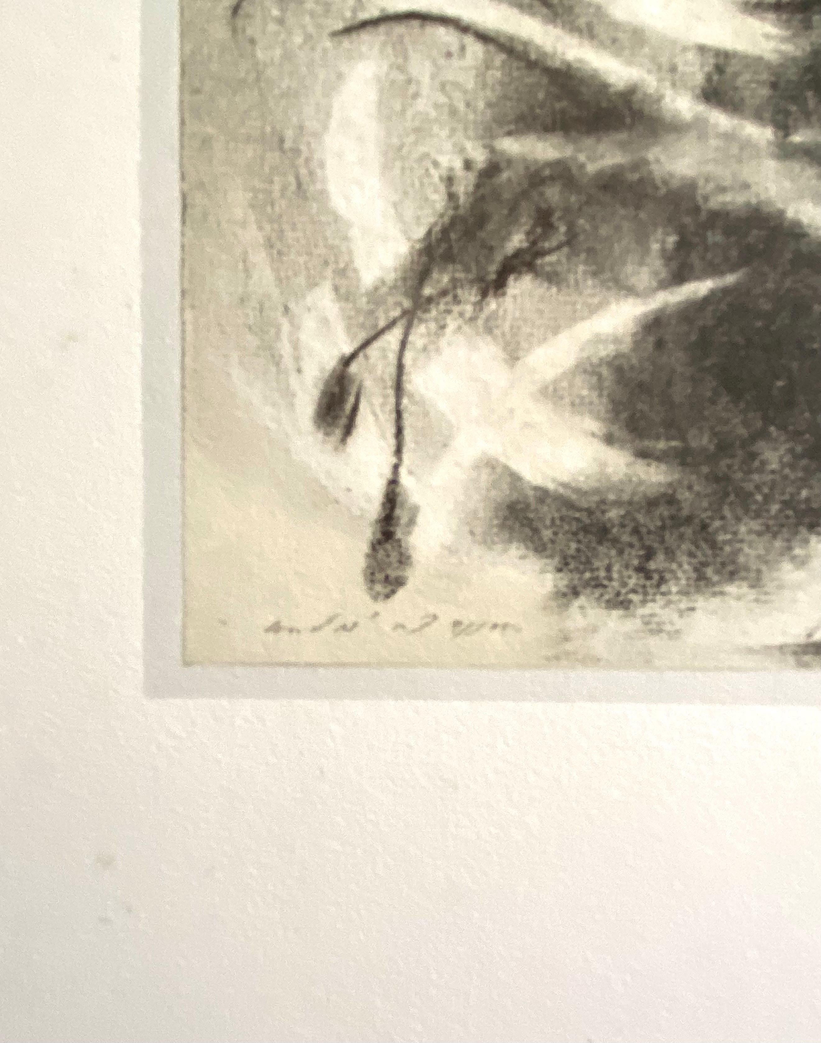 Abstrakte surrealistische Farblithographie Andre Masson, Französisch (Surrealismus), Print, von André Masson