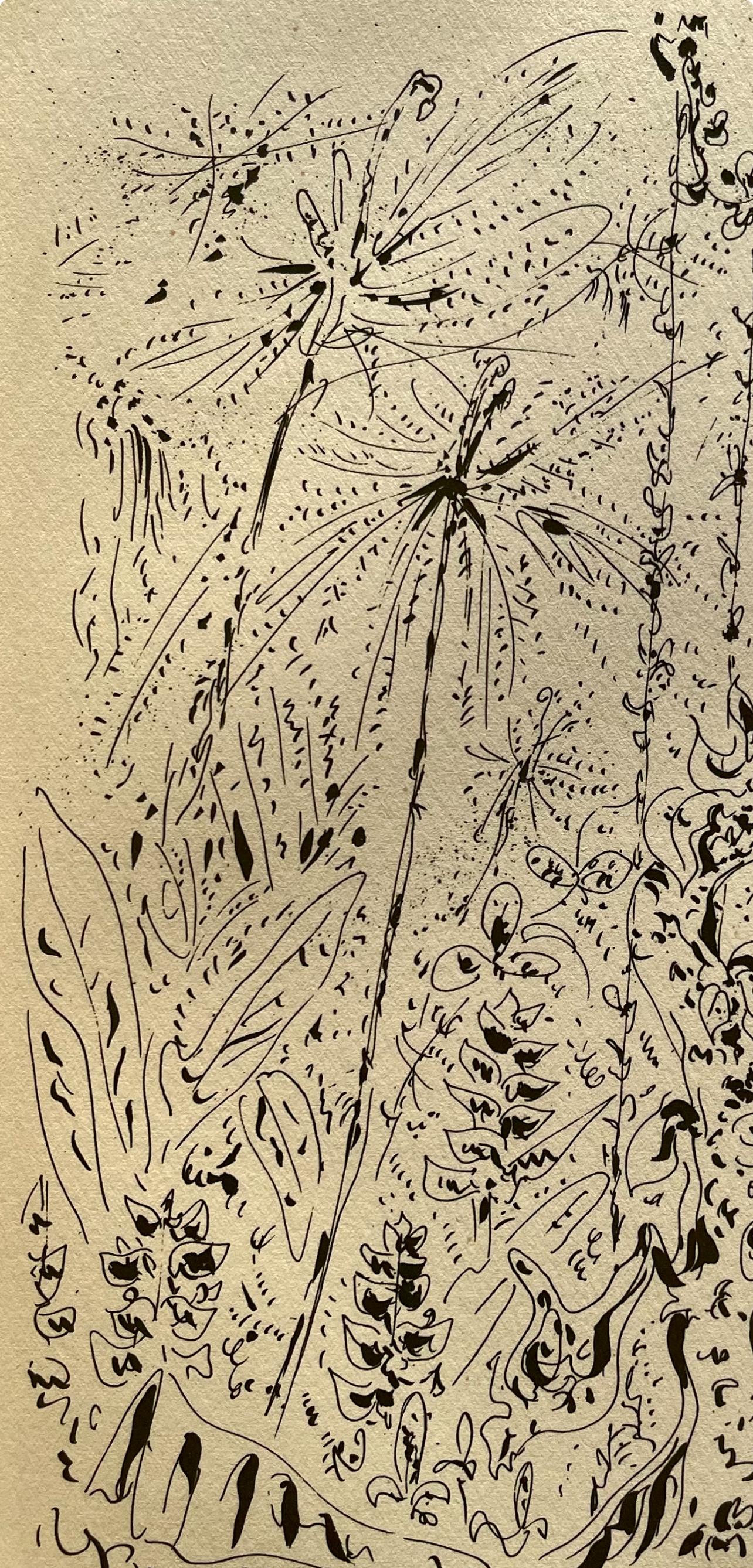 Masson, Forêt martiniquaise, Masson Dessins (après) - Print de André Masson