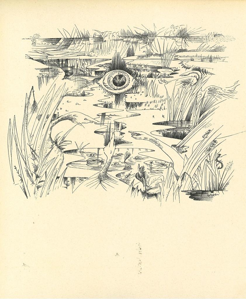 Print André Masson - Composition surréaliste 10 - Collotype original d'Andr Masson - Milieu du XXe siècle