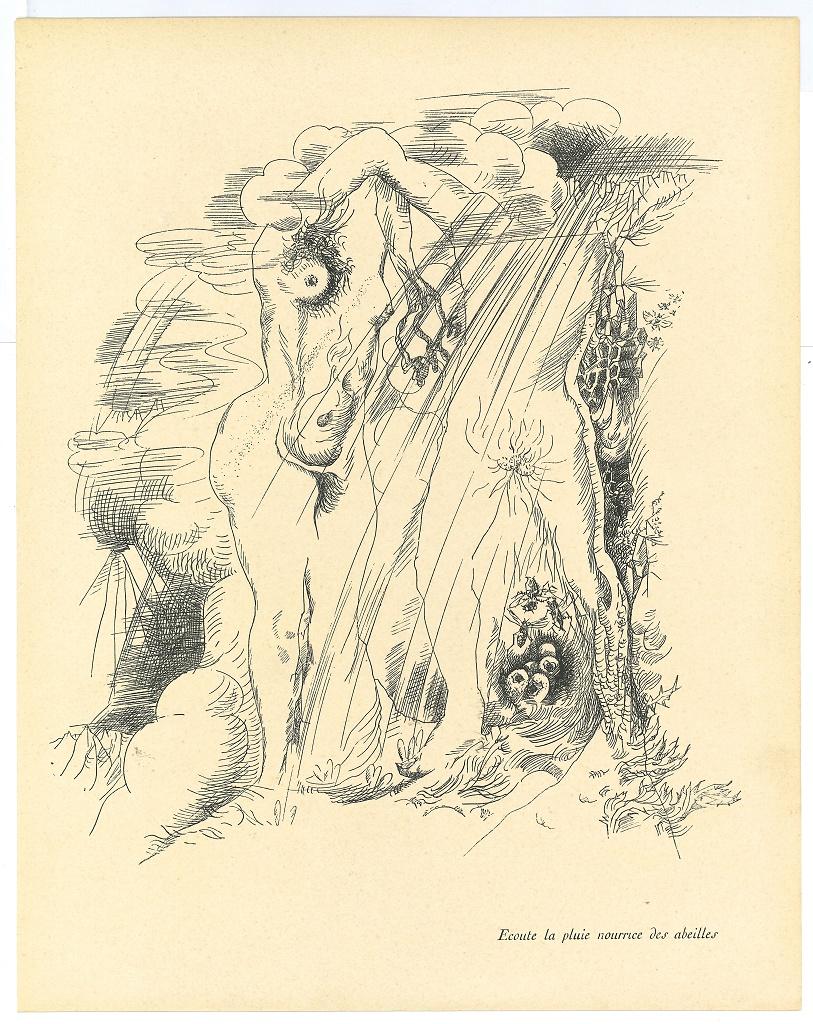 Print André Masson - Étude surréaliste - Collotype original d'après Andr Masson - milieu du 20e siècle