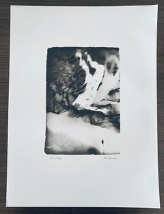 French Contemporary Collotype Photograph Black White Photo Andre Naggar