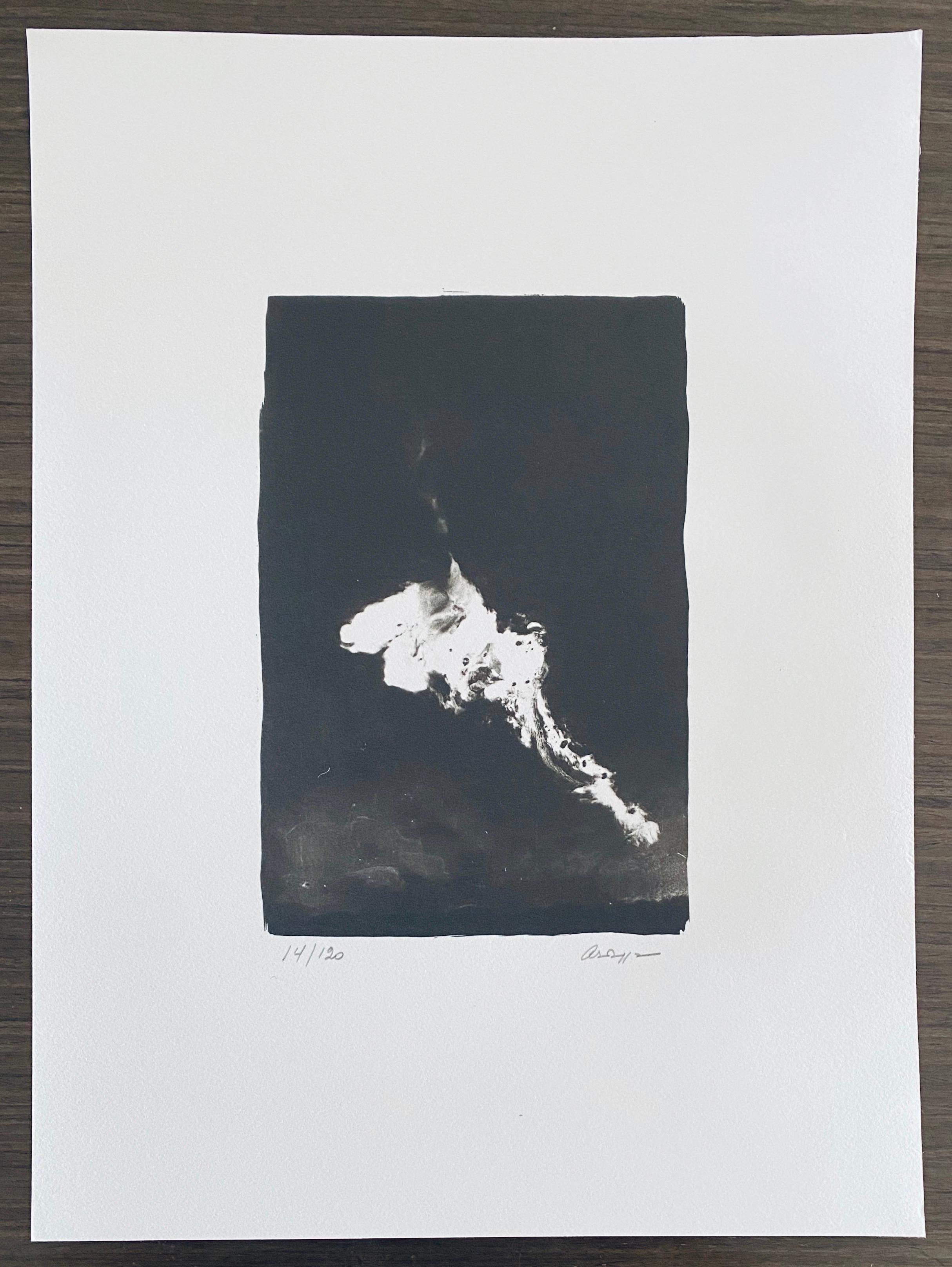 Photographie française contemporaine au collotype Photo noir et blanc Andre Naggar en vente 1