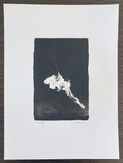 Photographie française contemporaine au collotype Photo noir et blanc Andre Naggar