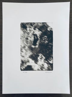 Collotype francese contemporaneo Fotografia in bianco e nero Foto Andre Naggar