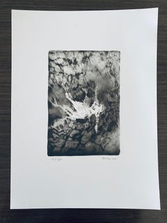Photographie française contemporaine au collotype Photo noir et blanc Andre Naggar