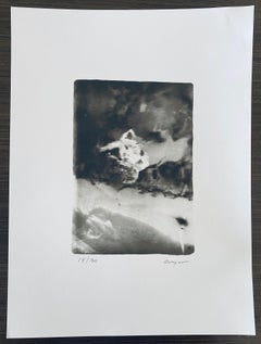 Photographie française contemporaine au collotype Photo noir et blanc Andre Naggar
