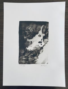 Collotype francese contemporaneo Fotografia in bianco e nero Foto Andre Naggar