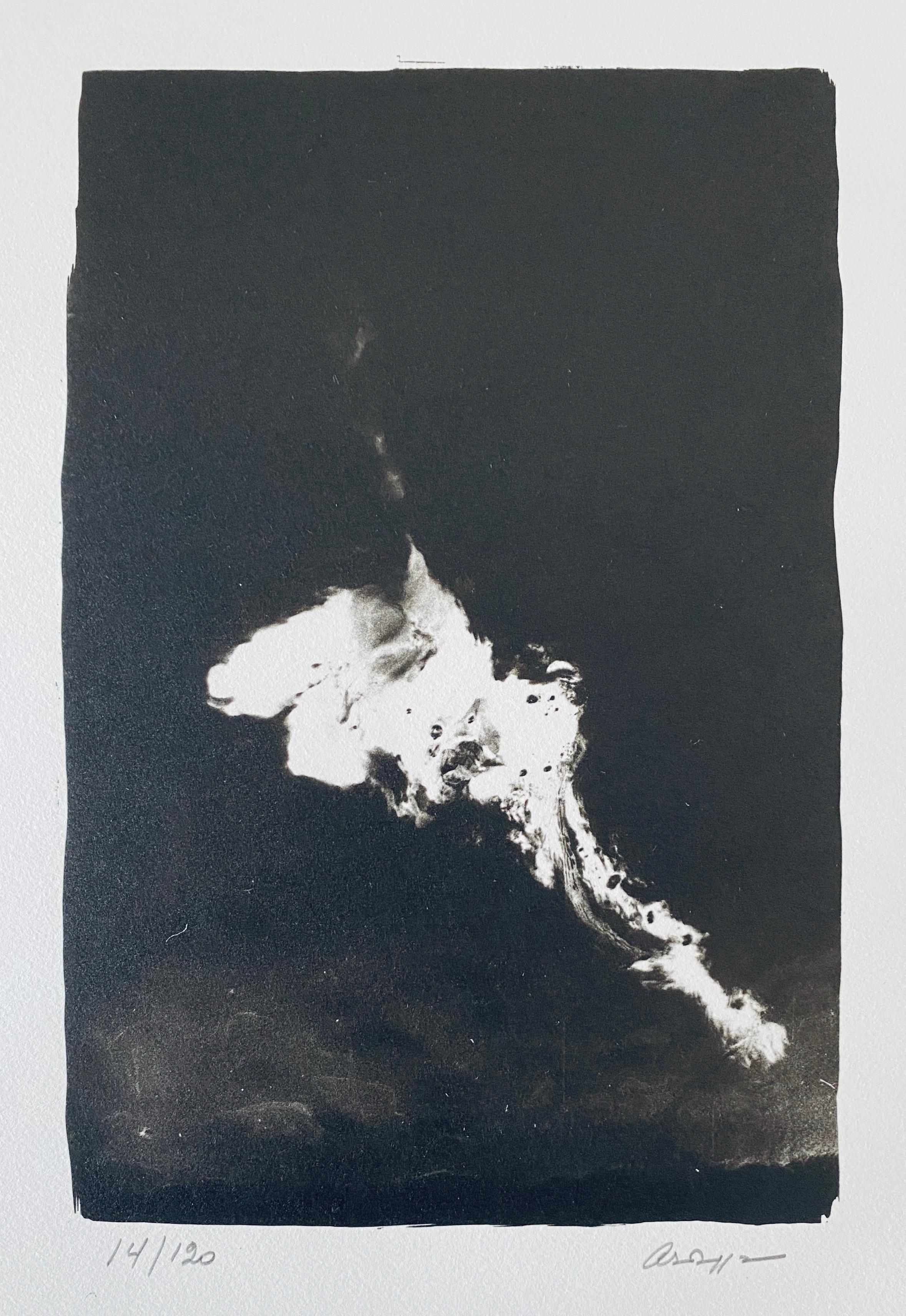 Photographie française contemporaine au collotype Photo noir et blanc Andre Naggar en vente 2