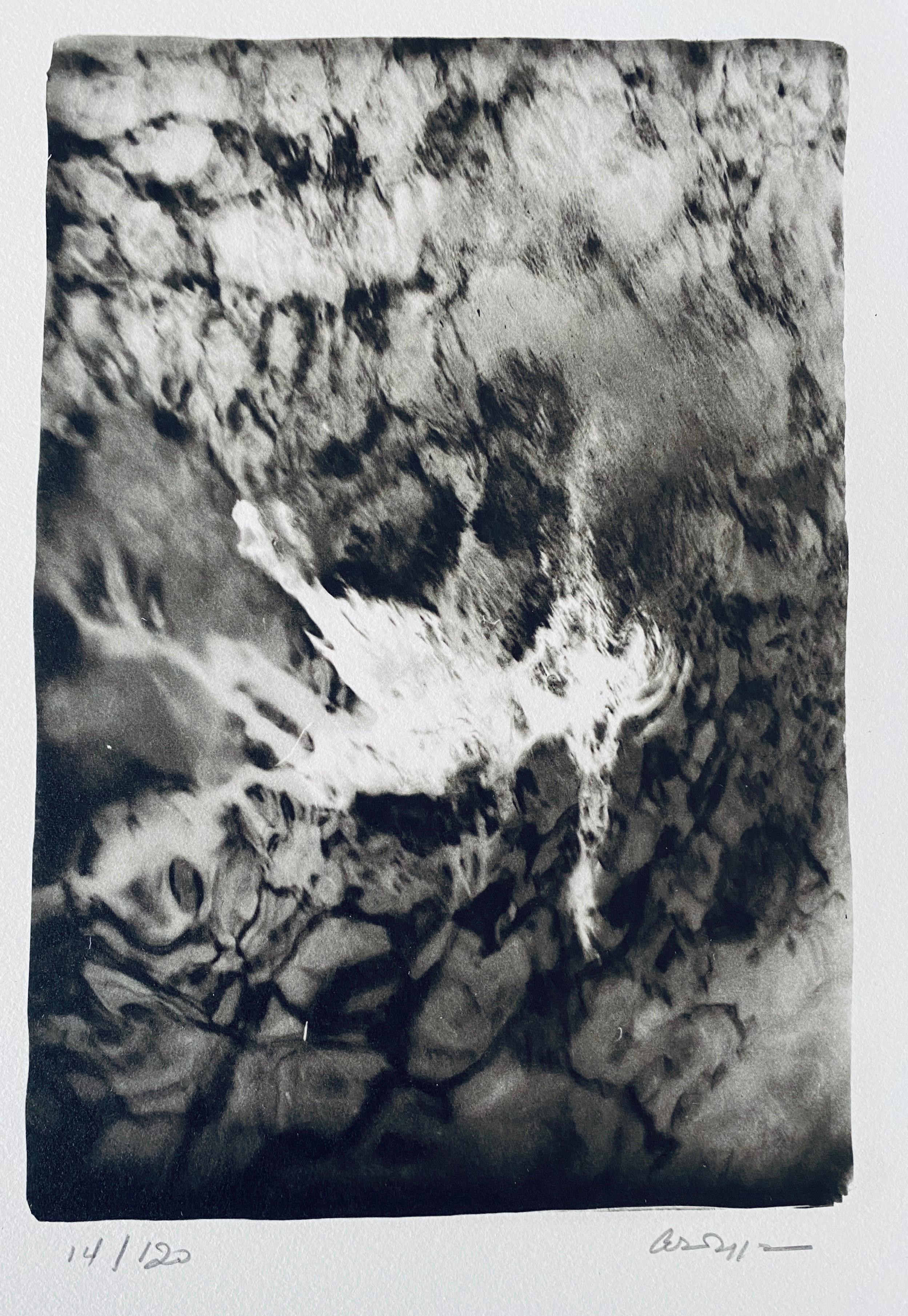 Photographie française contemporaine au collotype Photo noir et blanc Andre Naggar en vente 2