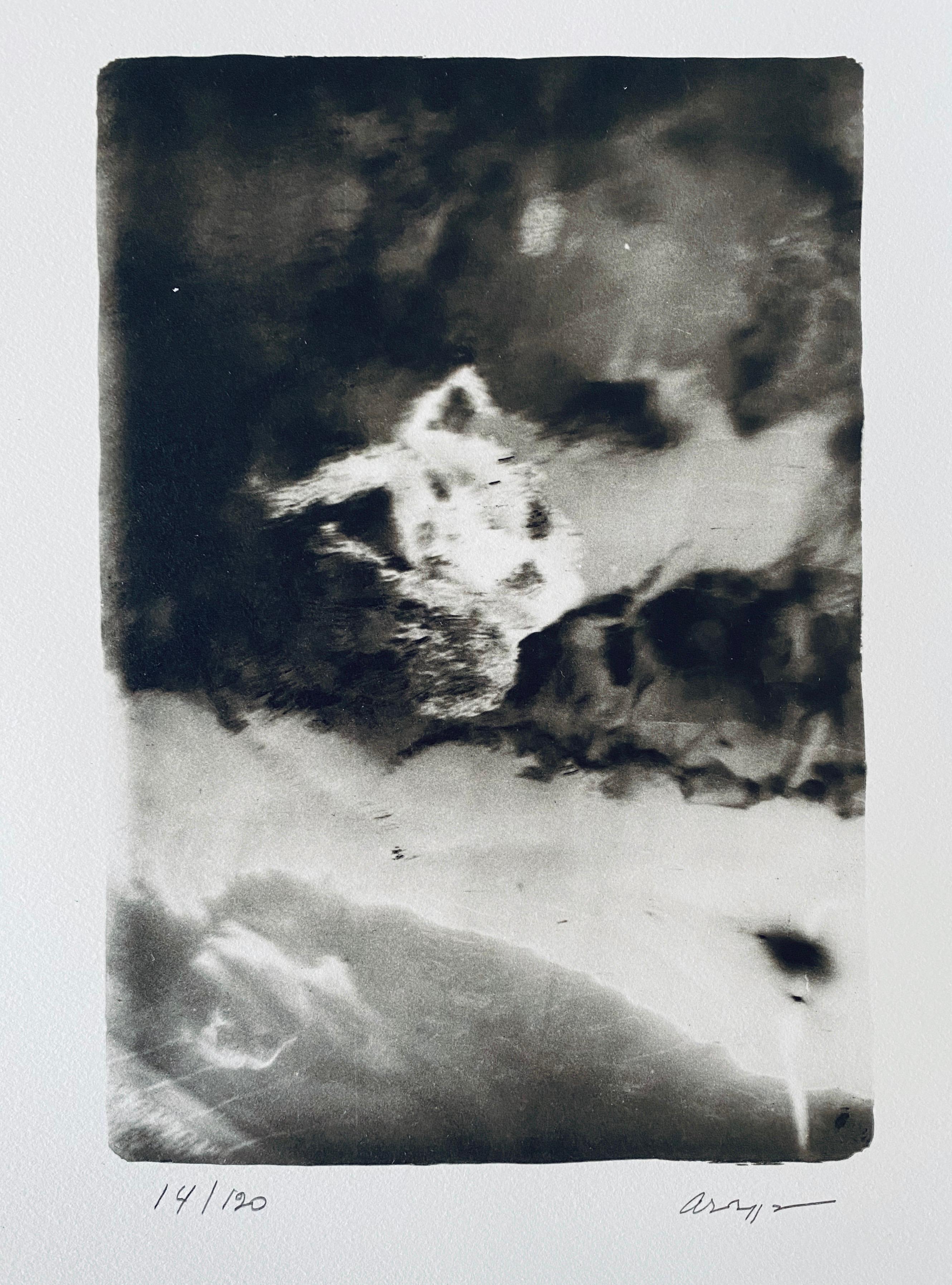 Photographie française contemporaine au collotype Photo noir et blanc Andre Naggar en vente 2