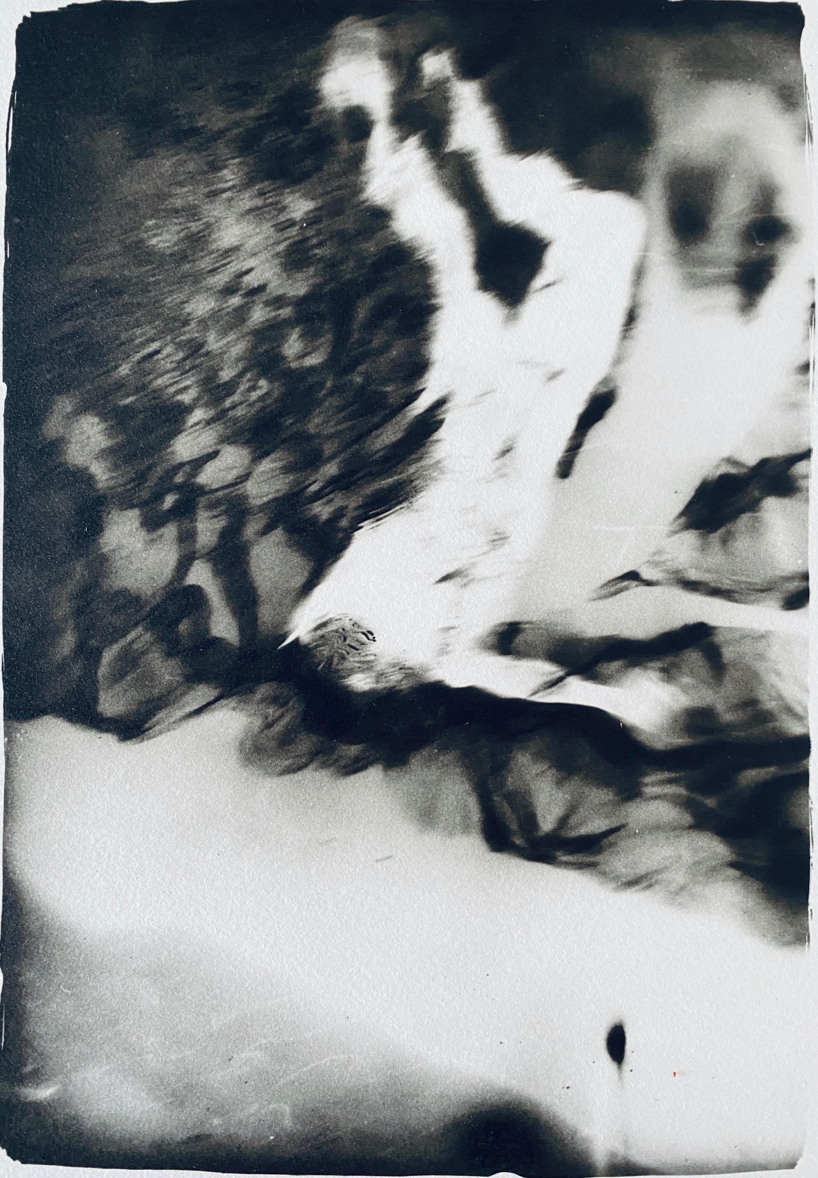 French Contemporary Collotype Photograph Black White Photo Andre Naggar For Sale 3