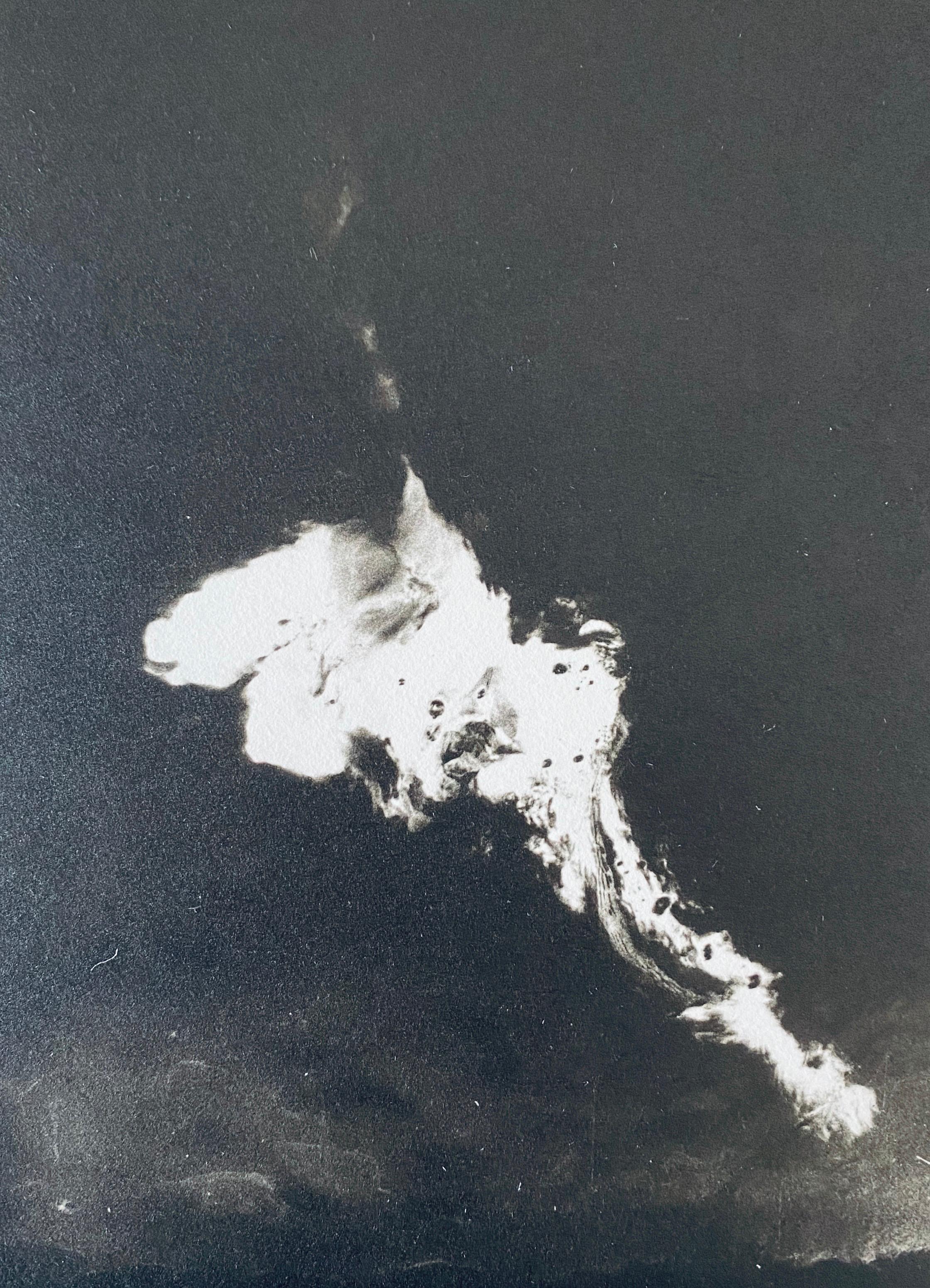 Photographie française contemporaine au collotype Photo noir et blanc Andre Naggar en vente 3