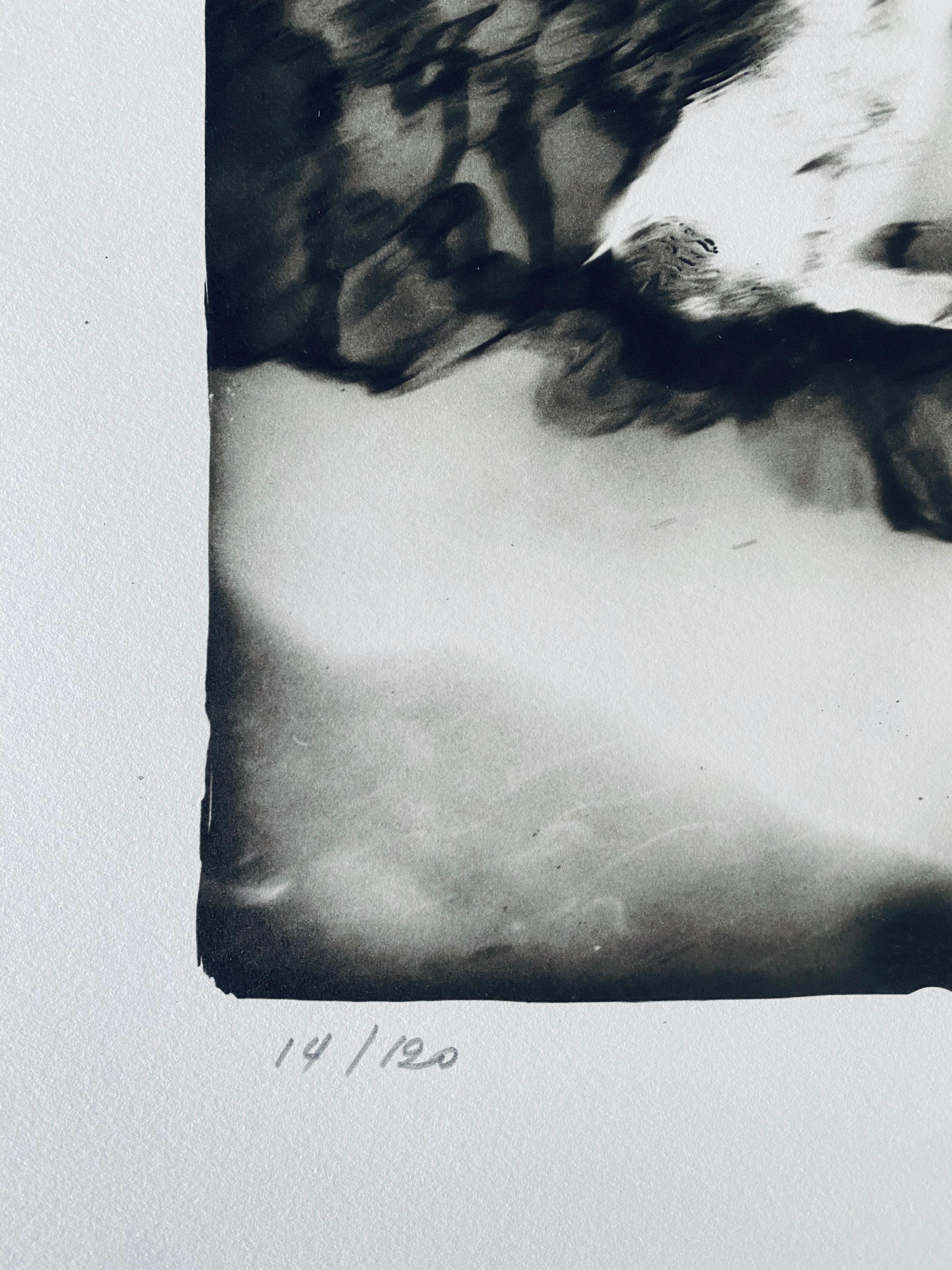 French Contemporary Collotype Photograph Black White Photo Andre Naggar For Sale 4