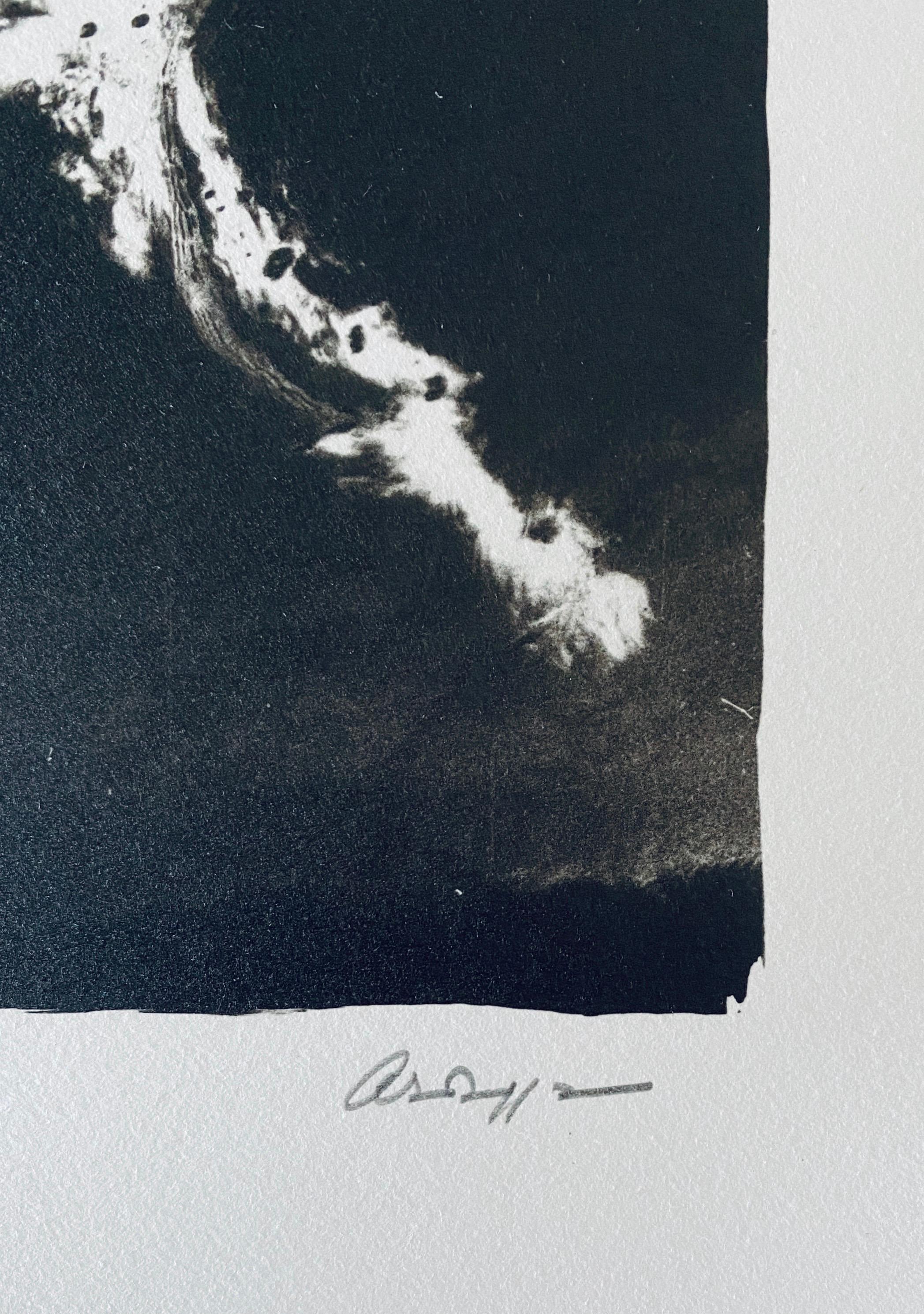 Photographie française contemporaine au collotype Photo noir et blanc Andre Naggar en vente 4