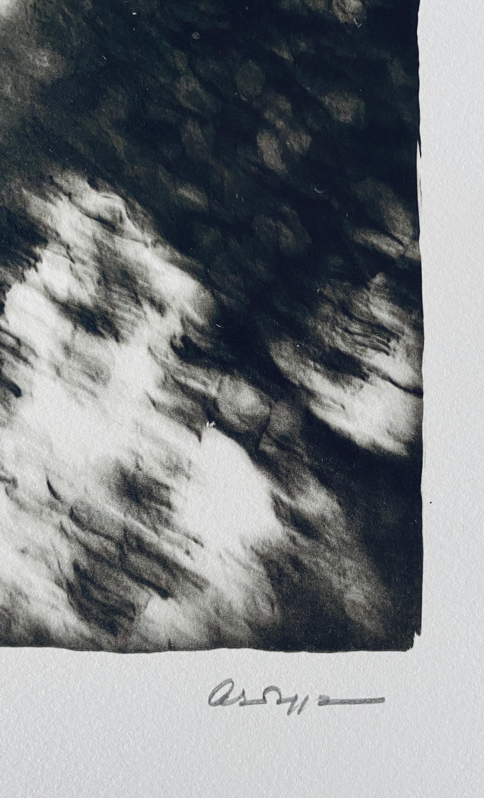 Photographie française contemporaine au collotype Photo noir et blanc Andre Naggar en vente 4