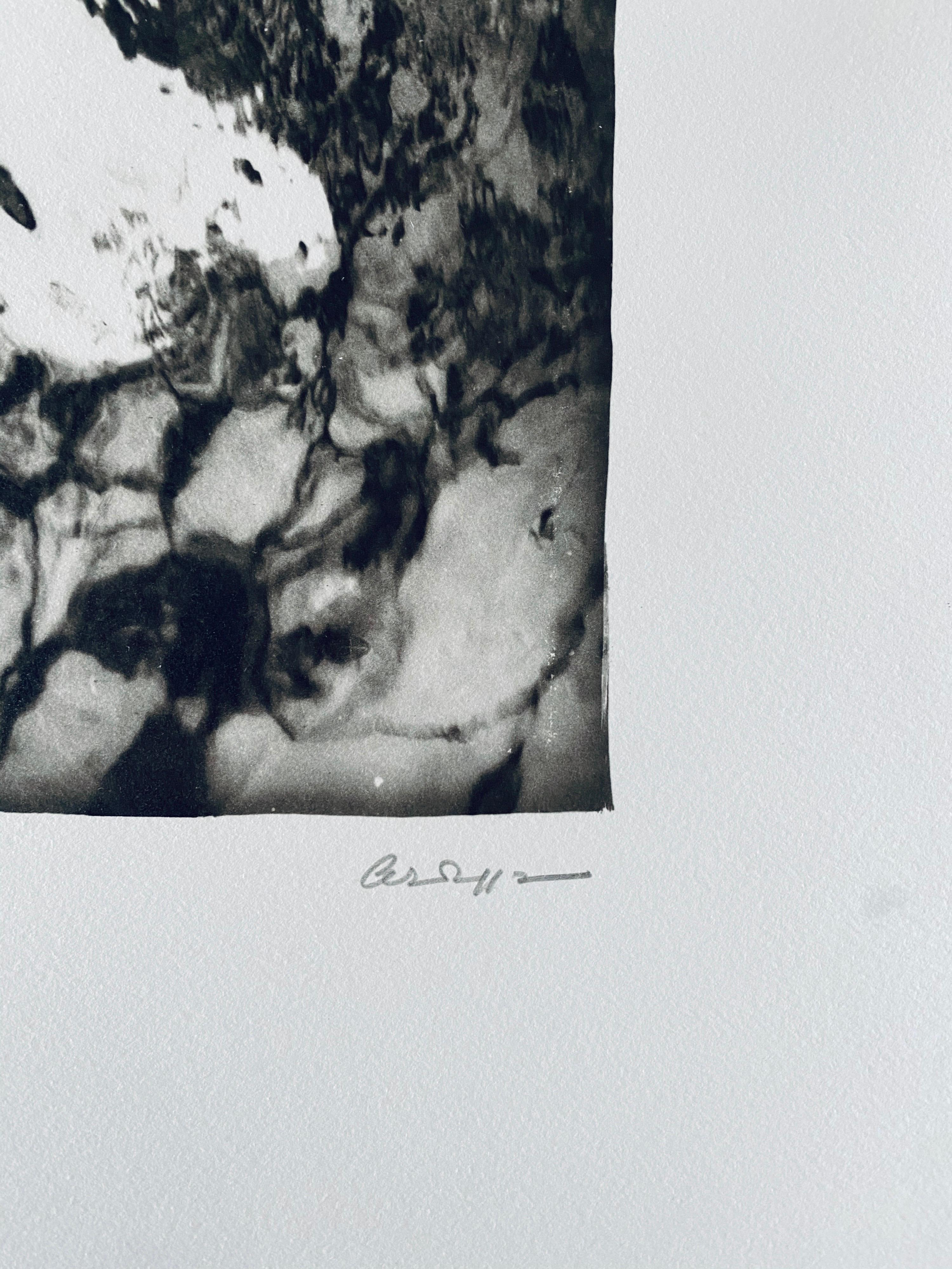 French Contemporary Collotype Photograph Black White Photo Andre Naggar For Sale 4