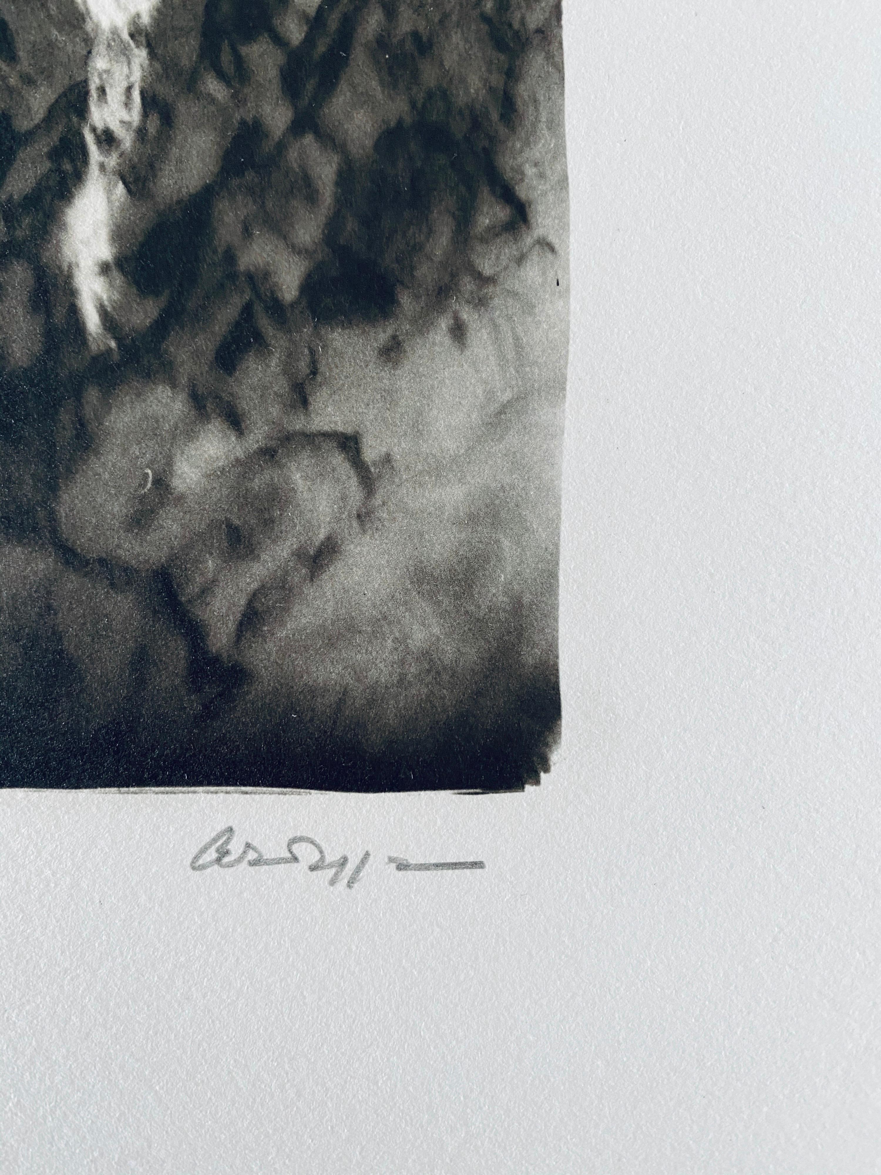 Photographie française contemporaine au collotype Photo noir et blanc Andre Naggar en vente 4