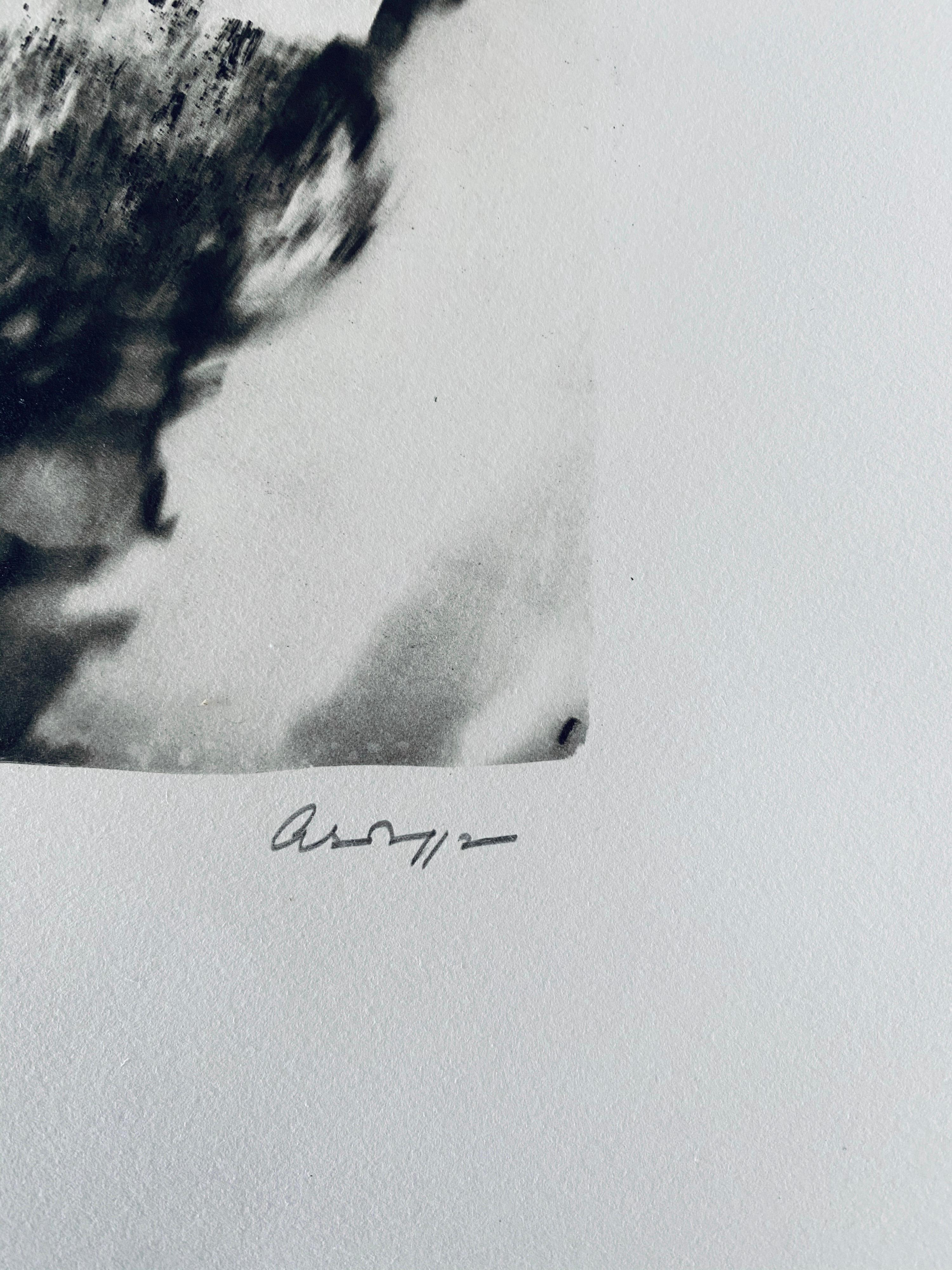 Photographie française contemporaine au collotype Photo noir et blanc Andre Naggar en vente 4