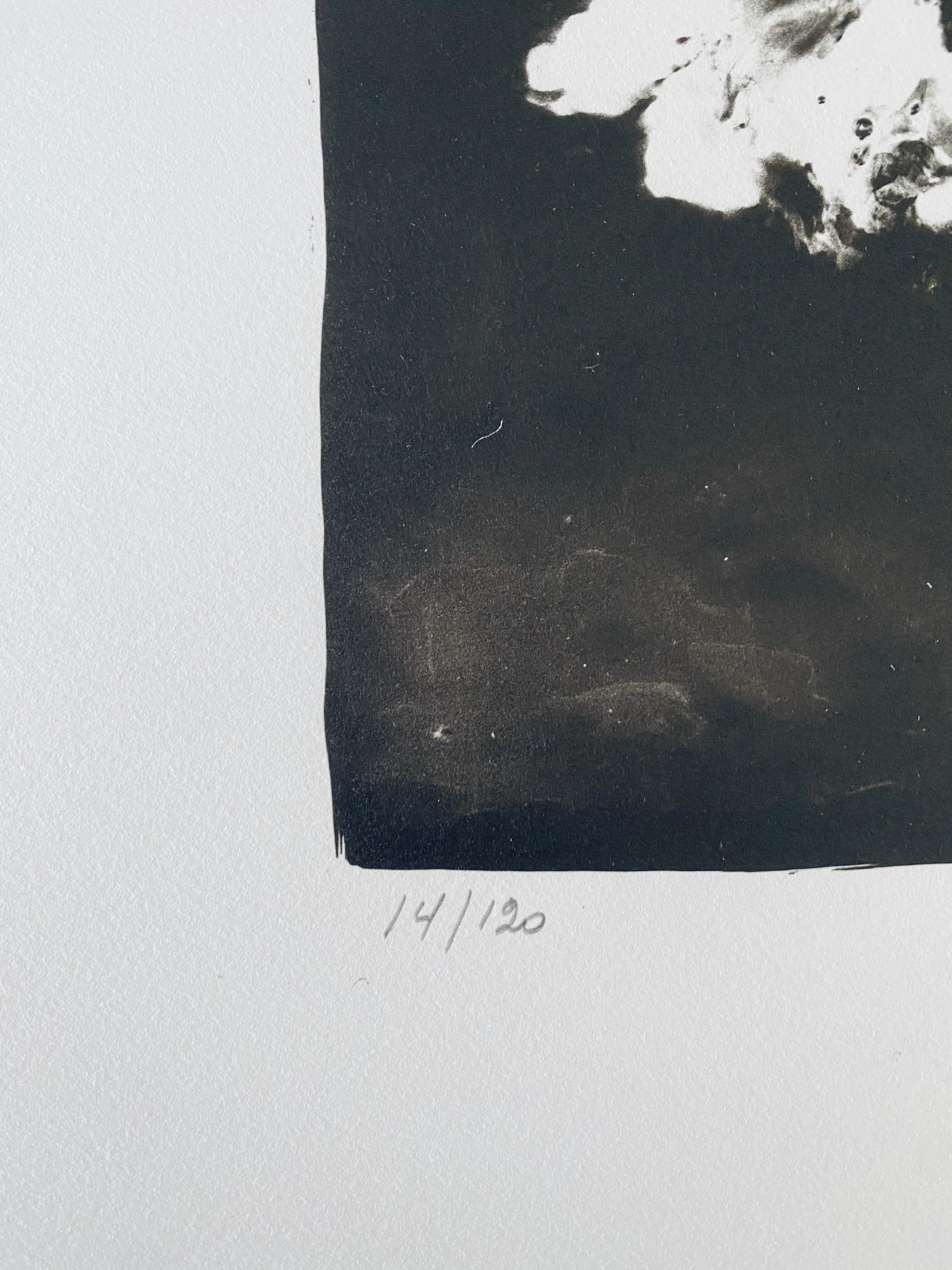 Photographie française contemporaine au collotype Photo noir et blanc Andre Naggar en vente 5