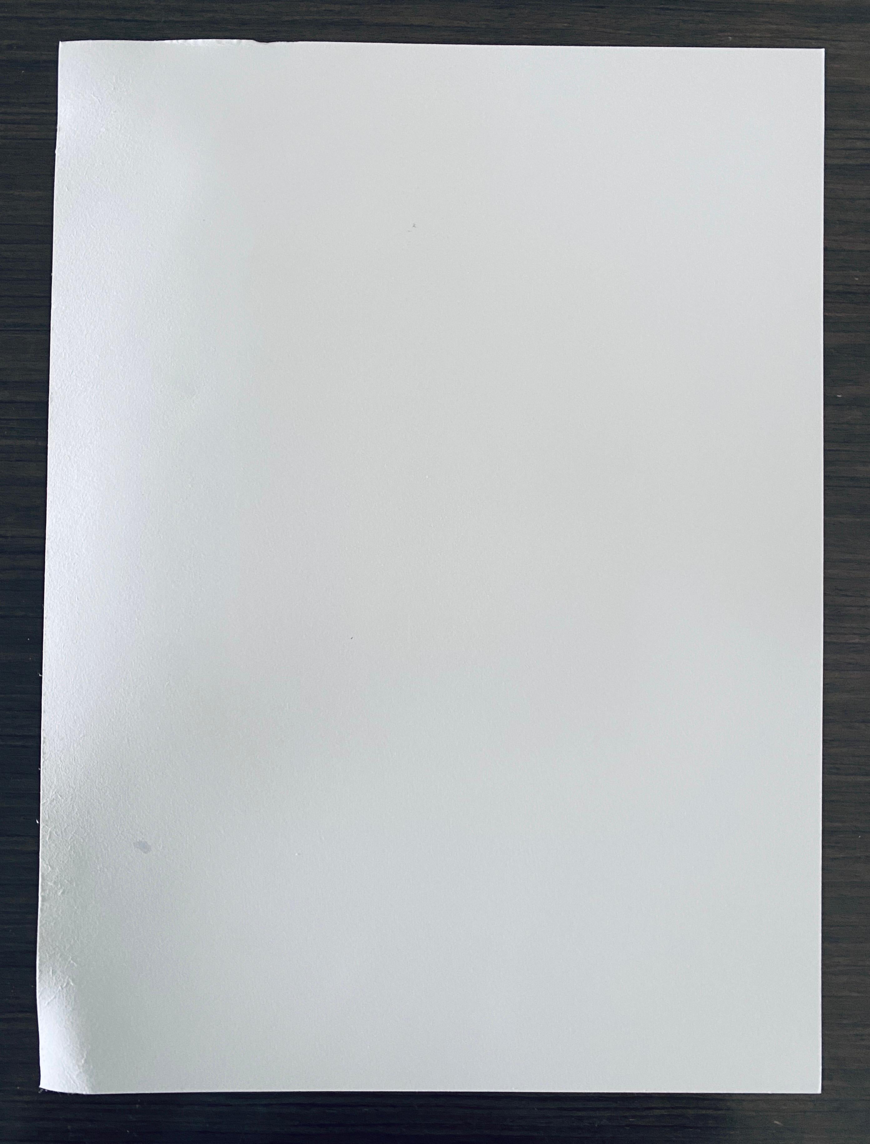 French Contemporary Collotype Photograph Black White Photo Andre Naggar For Sale 5