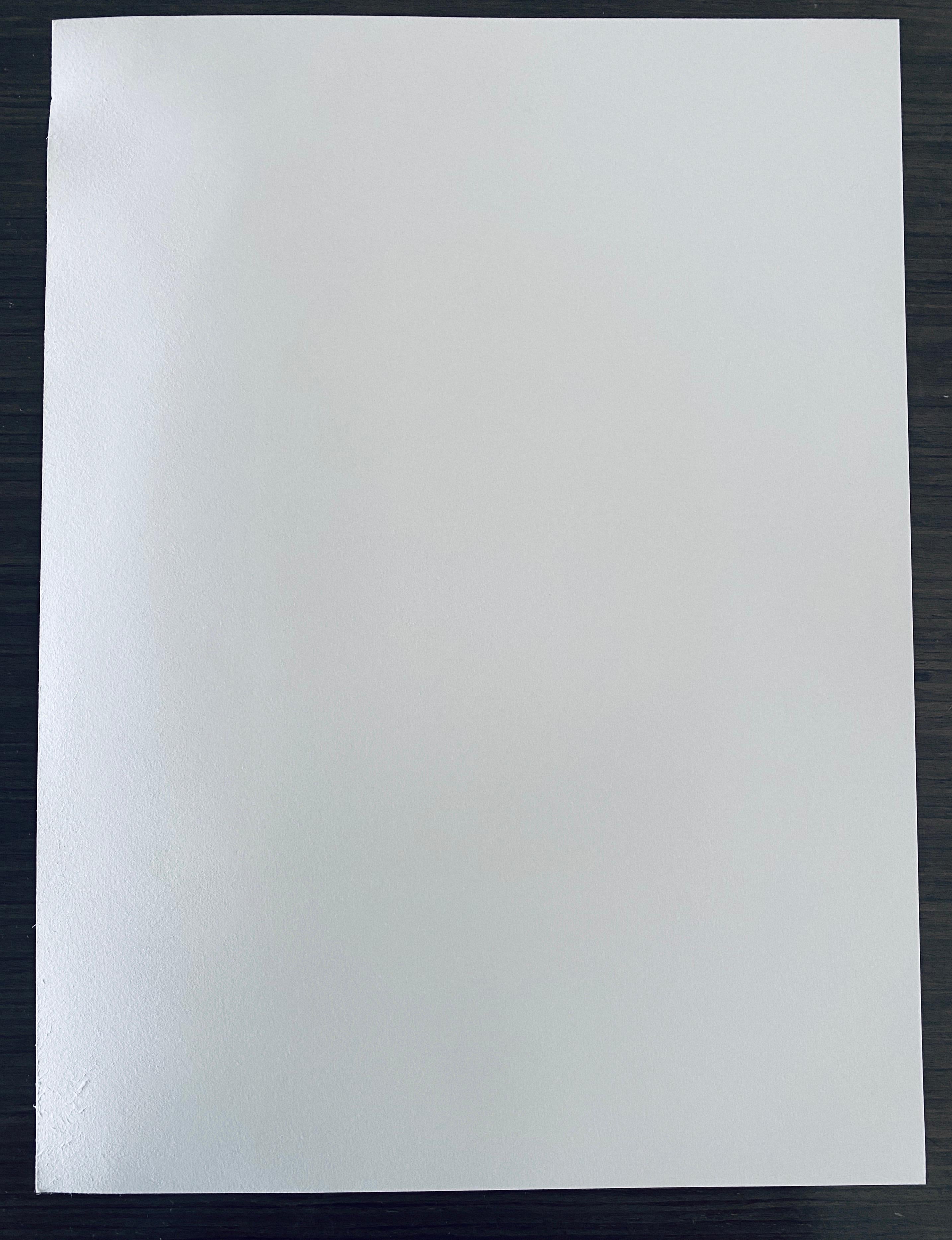 Photographie française contemporaine au collotype Photo noir et blanc Andre Naggar en vente 5