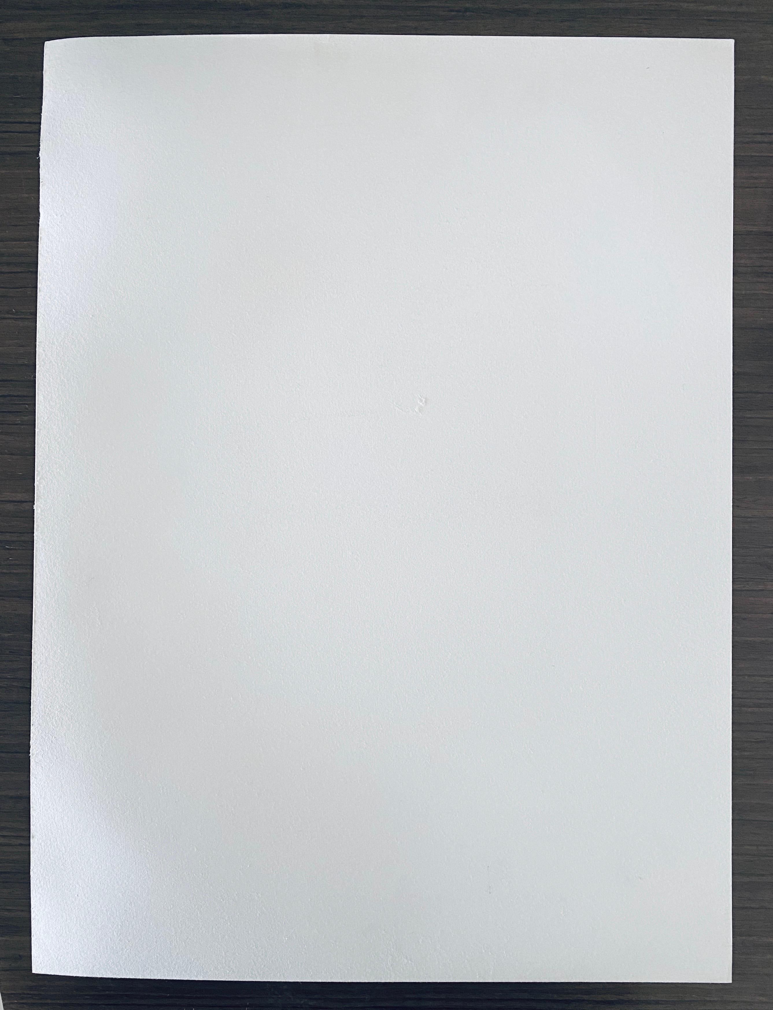 French Contemporary Collotype Photograph Black White Photo Andre Naggar For Sale 6
