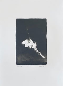 Fotografía Colotipia Contemporánea Francesa Fotografía Blanco Negro Andre Naggar