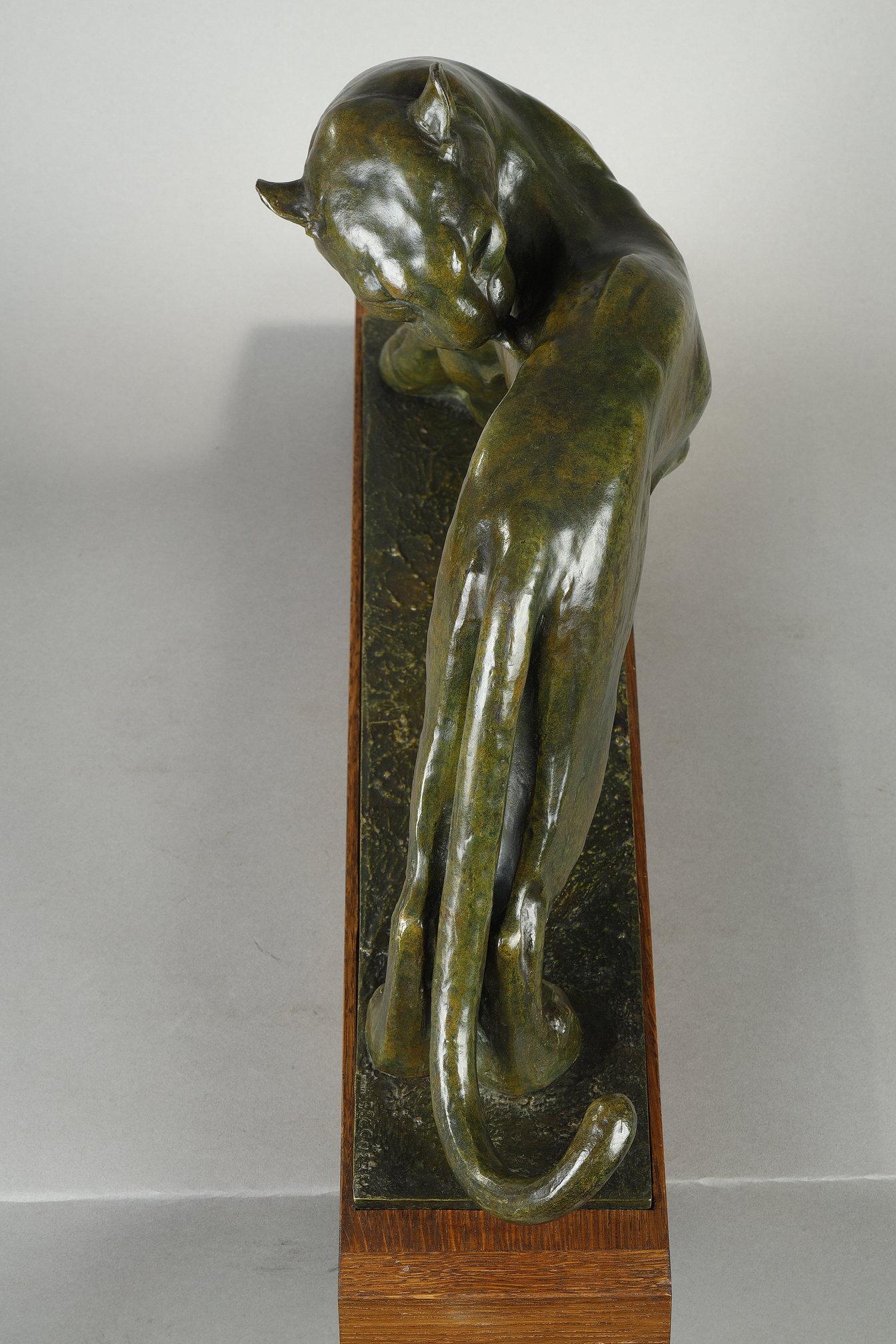 Panther licking For Sale 5