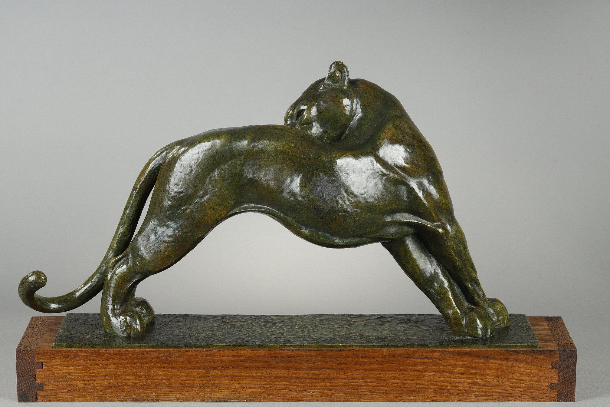 Panther licking For Sale 6