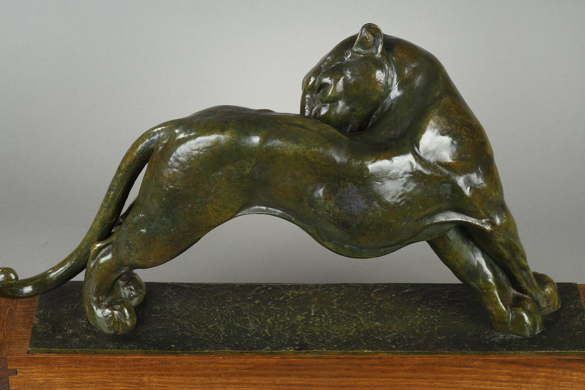 Panther licking For Sale 7