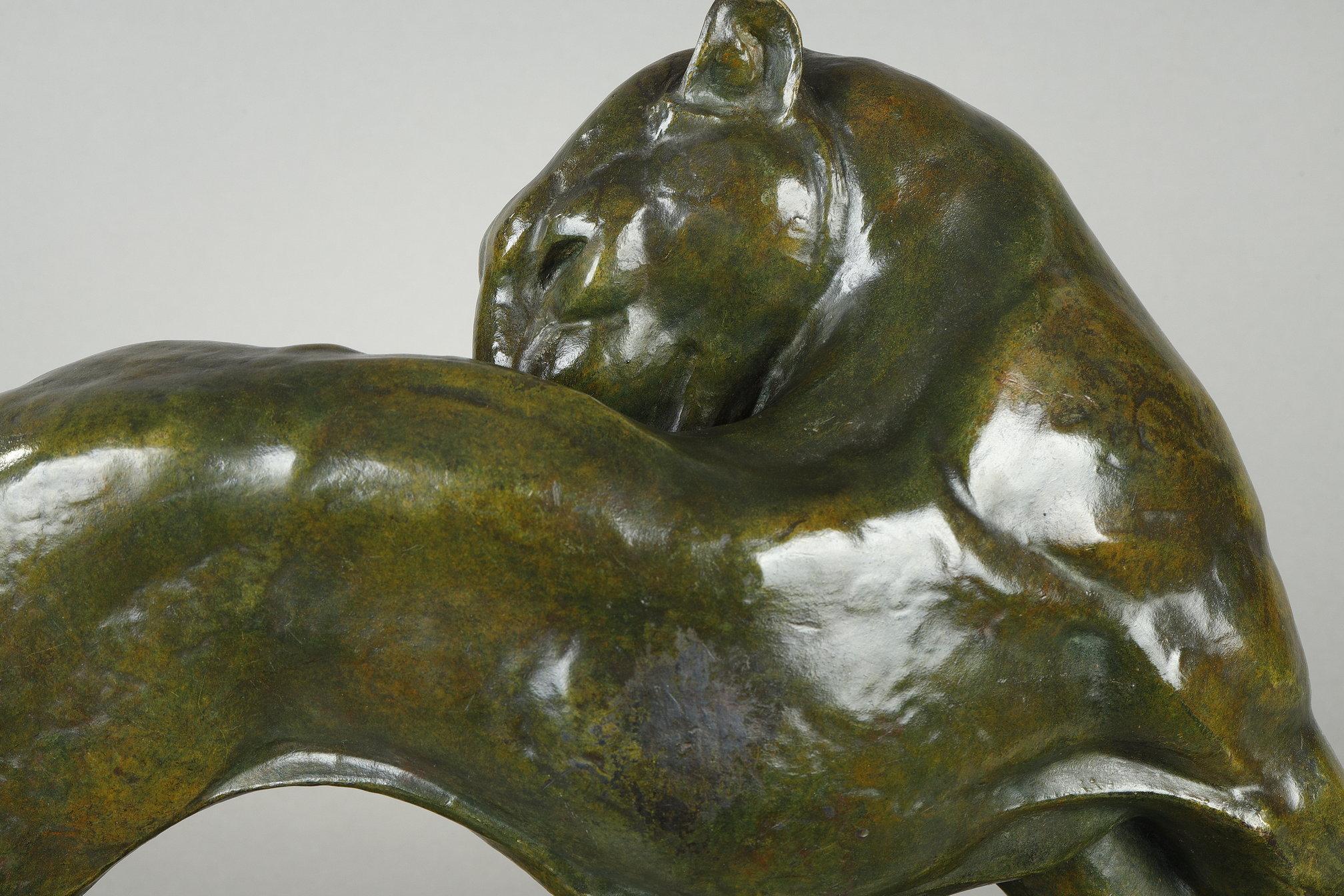 Panther licking For Sale 8