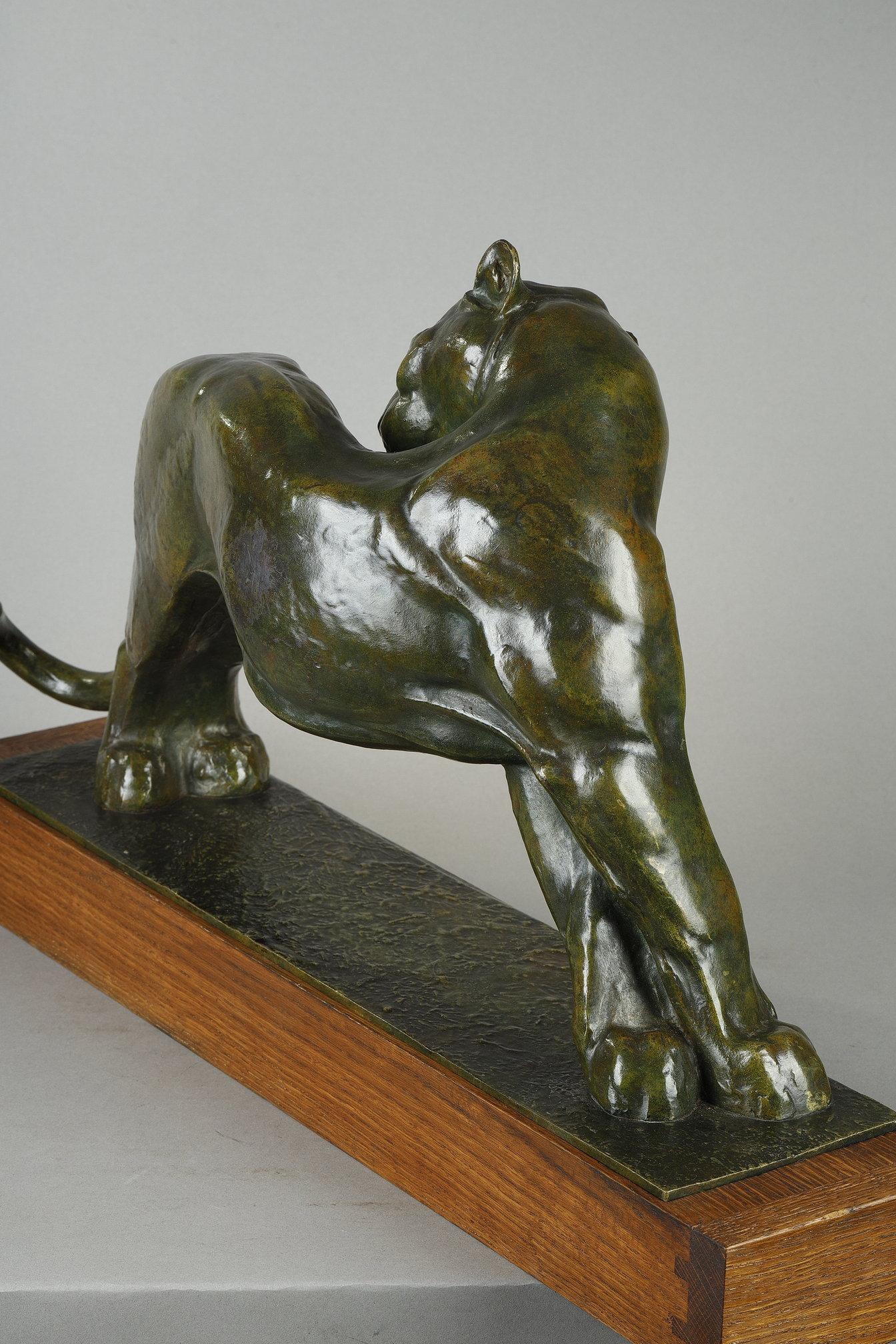 Panther licking For Sale 9