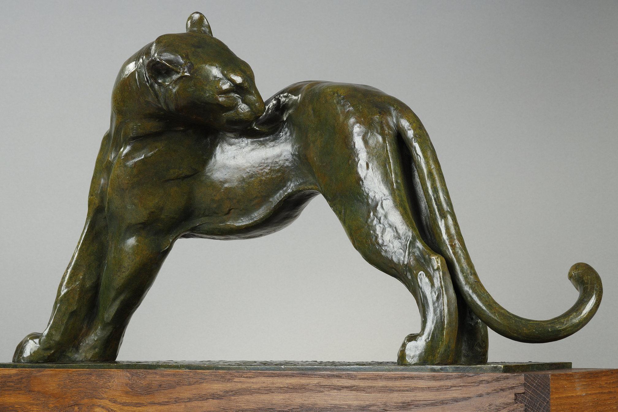 Panther licking - French School Sculpture by André Vincent Becquerel