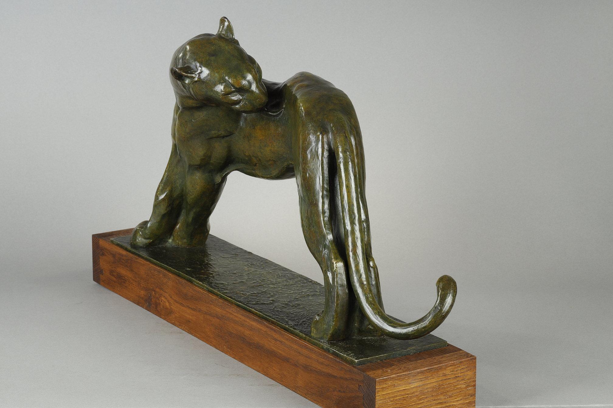 Panther licking For Sale 1