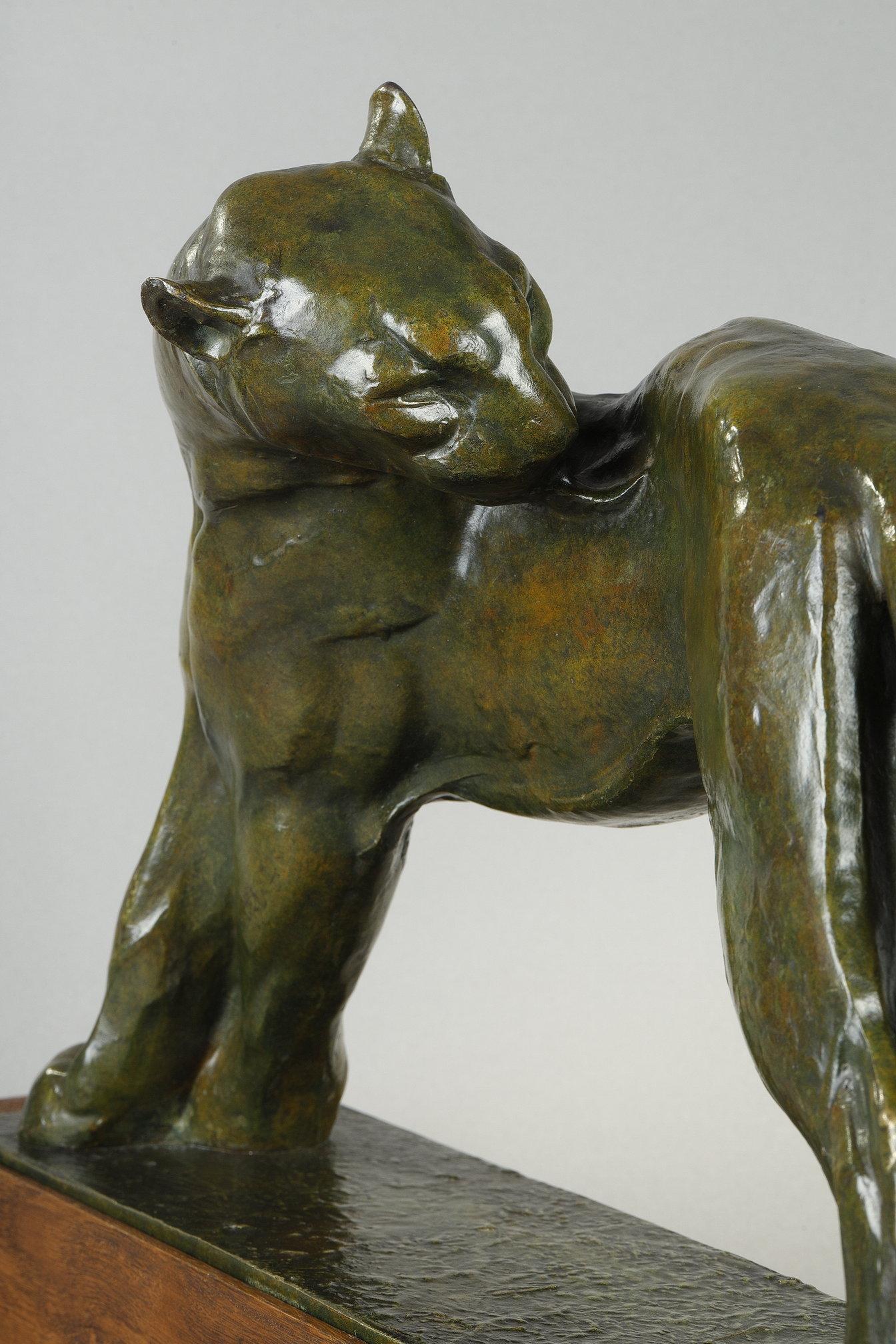 Panther licking For Sale 2