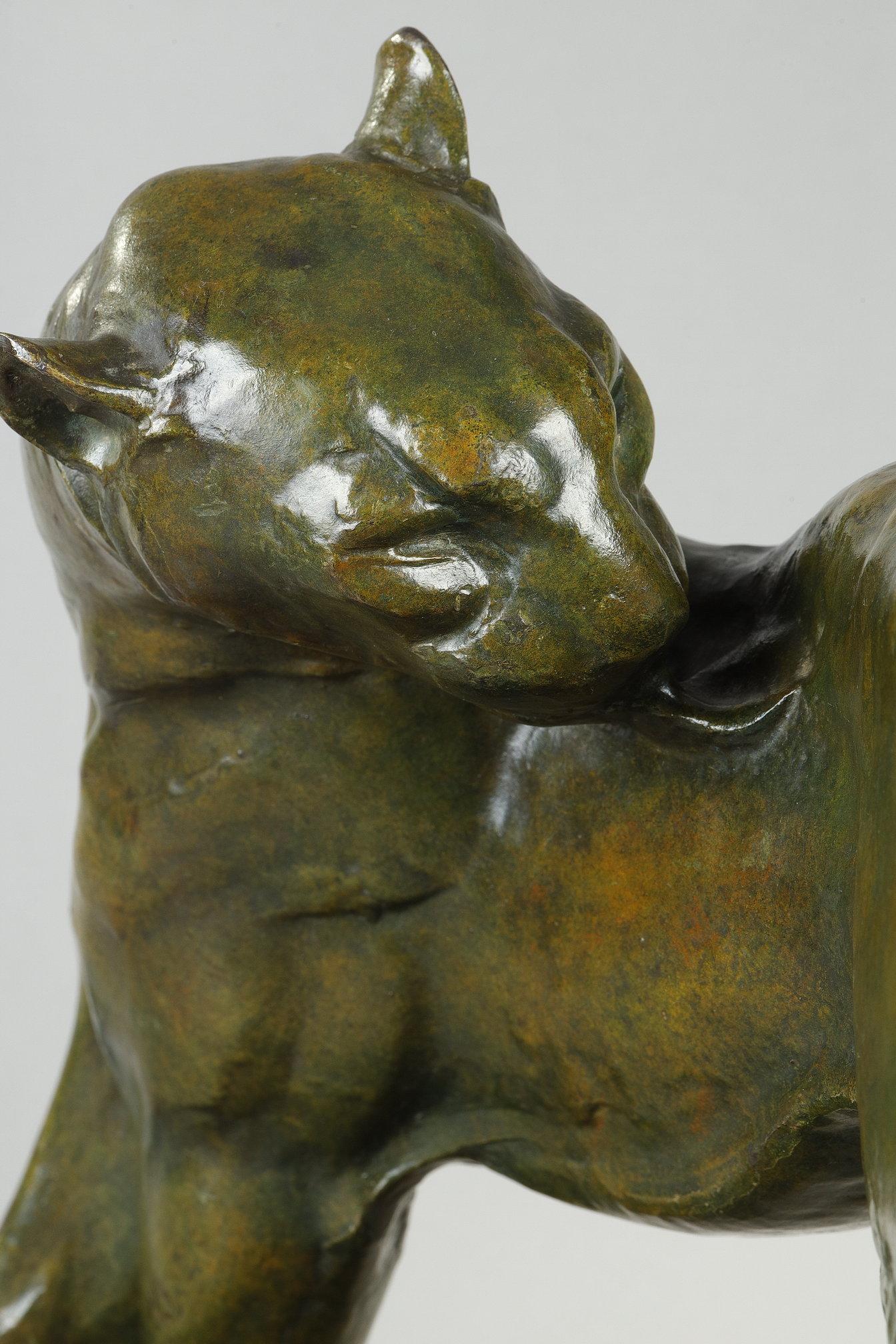 Panther licking For Sale 3