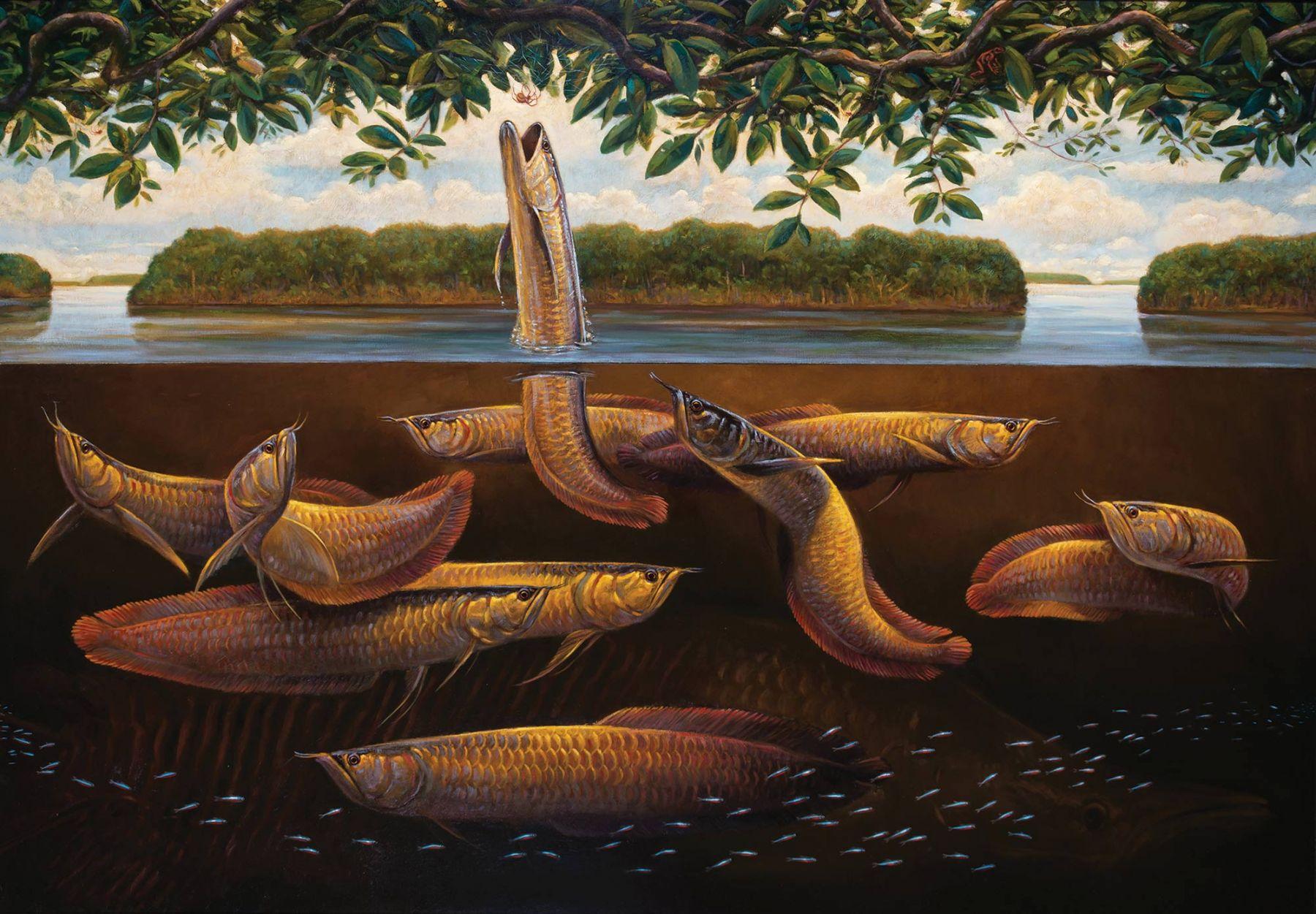 Landscape Painting ANDRE VON MORISSE - Lancée - Amazonian Arowana (large huile sur toile Natural World Big Fish Arowana)